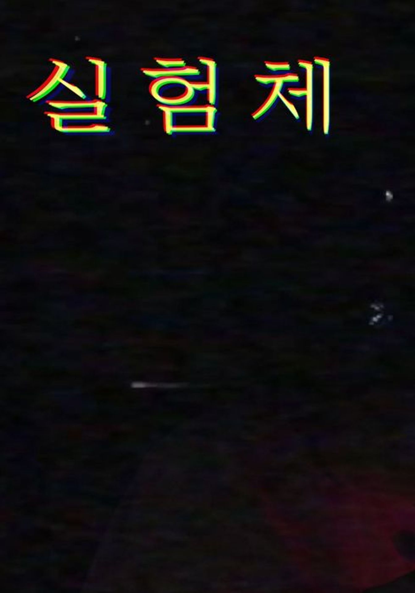 실험체