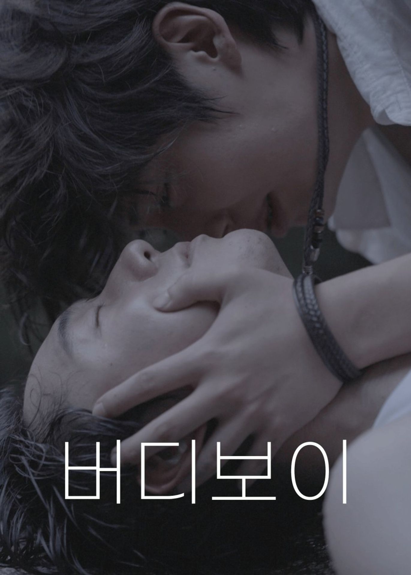 버디 보이