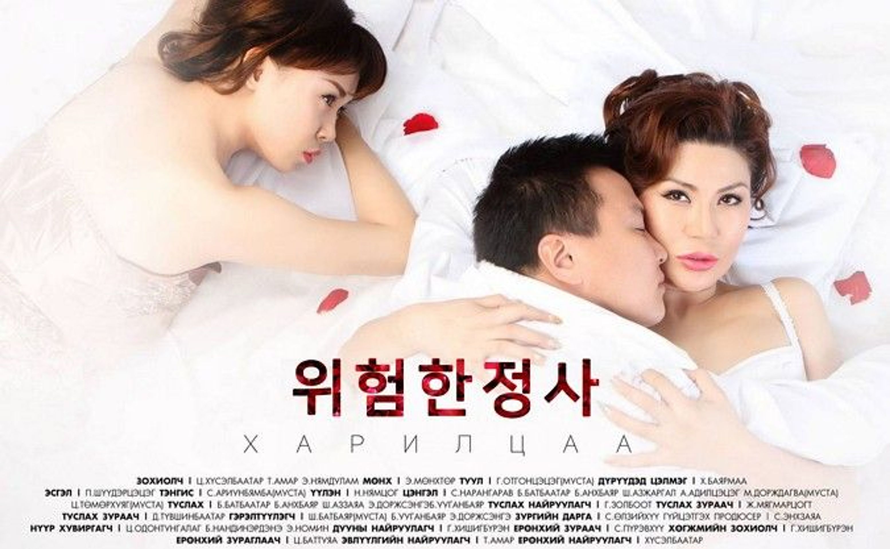 위험한 정사