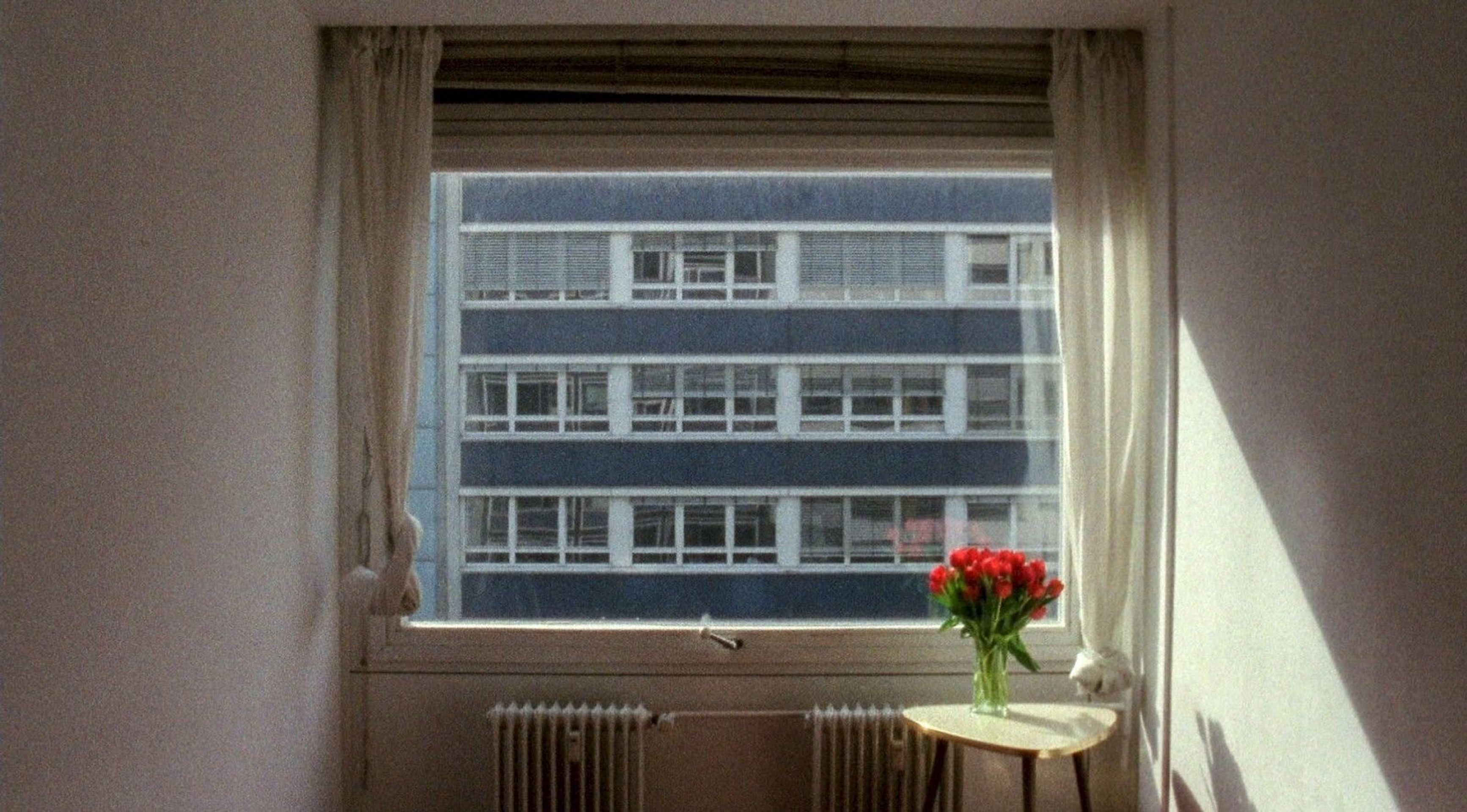 21,3°C