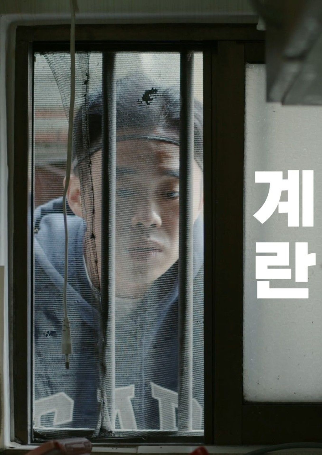 계란