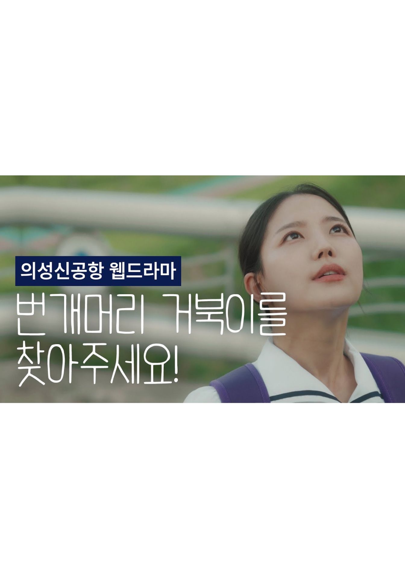번개머리 거북이를 찾아주세요!