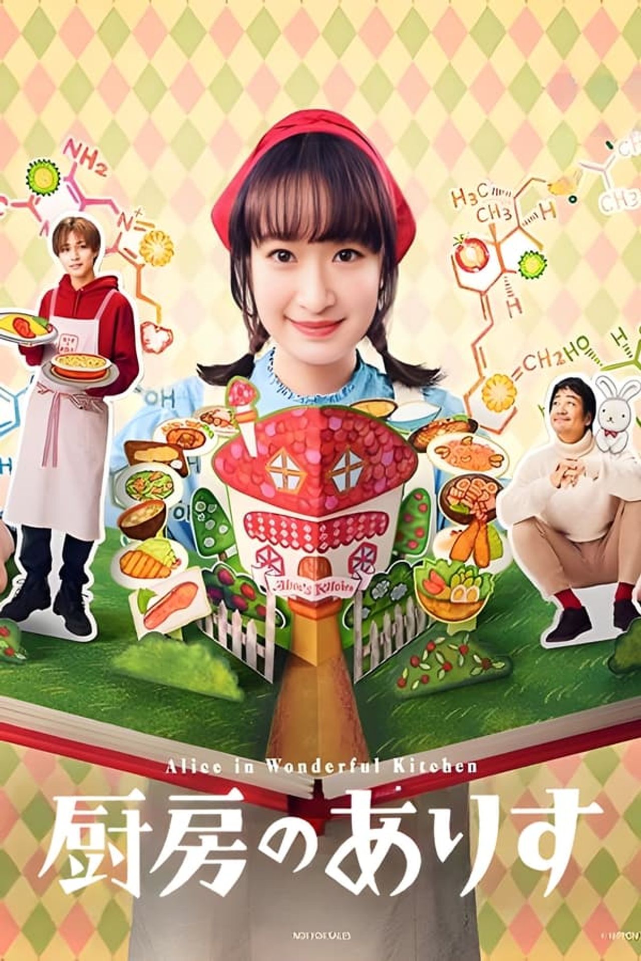 주방의 앨리스