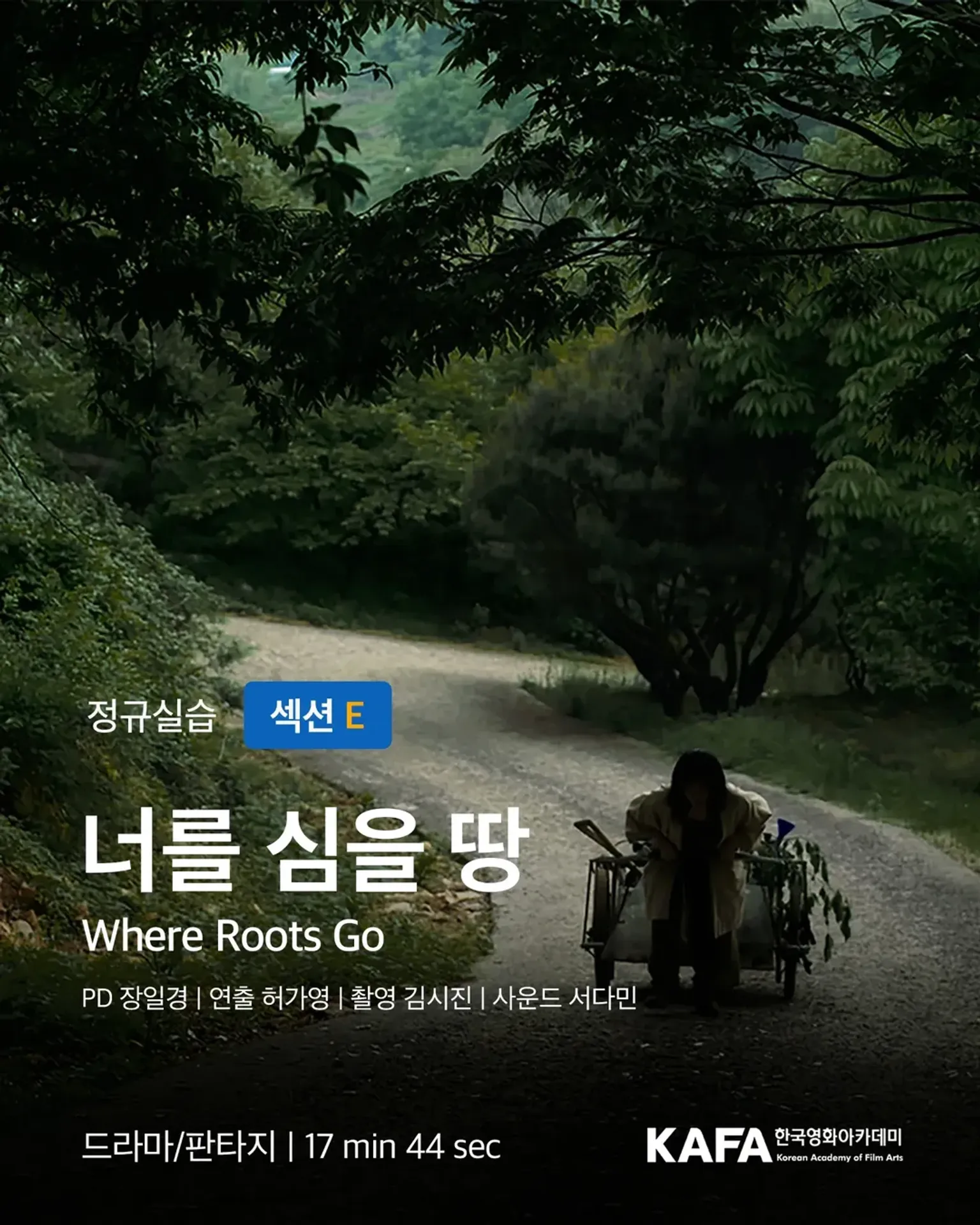 너를 심을 땅