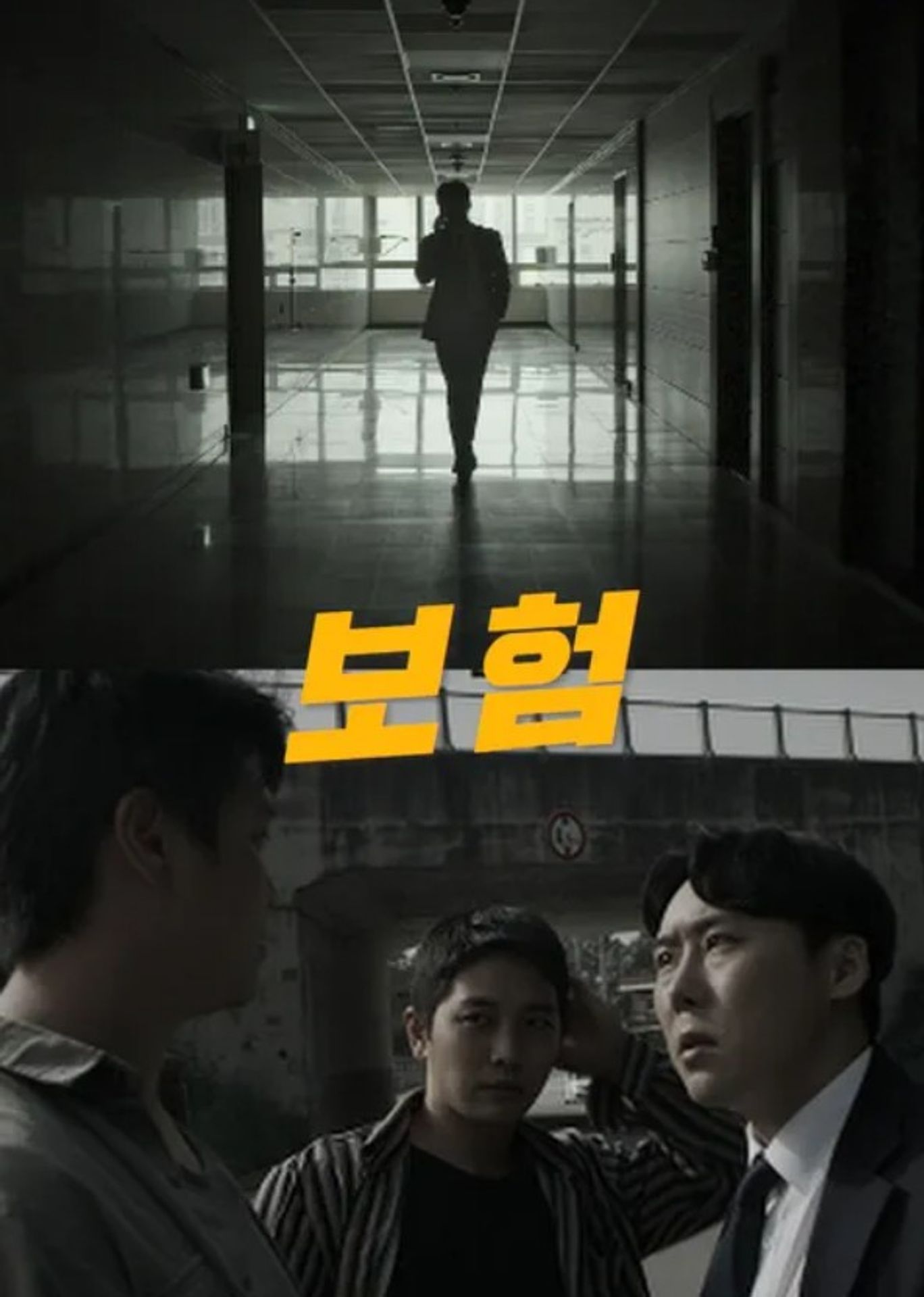 보험