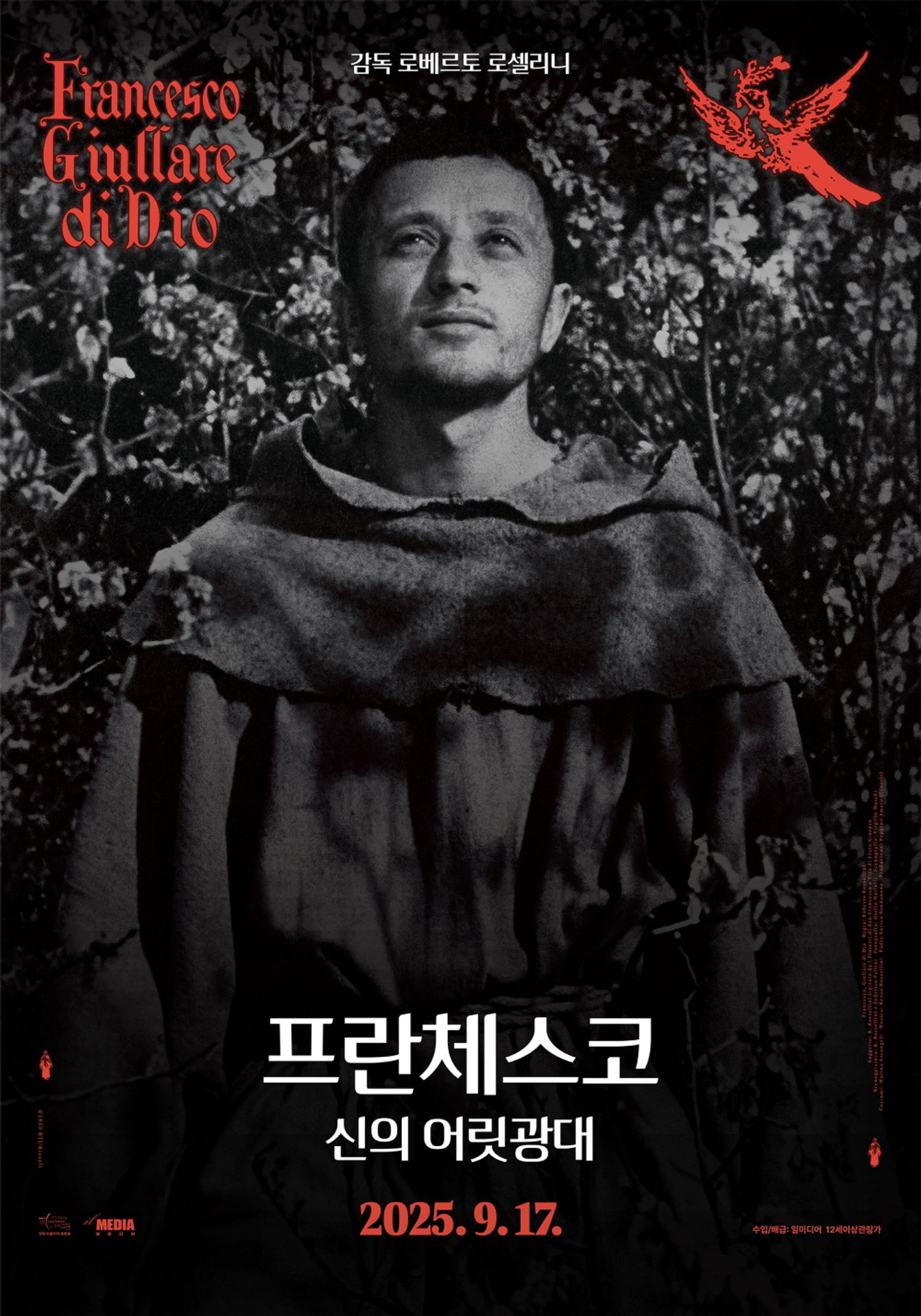 프란체스코, 신의 어릿광대