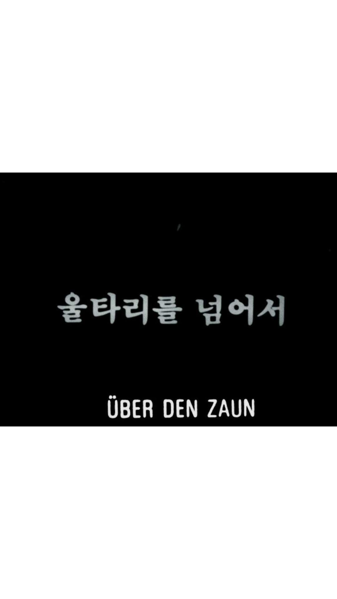 울타리를 넘어서