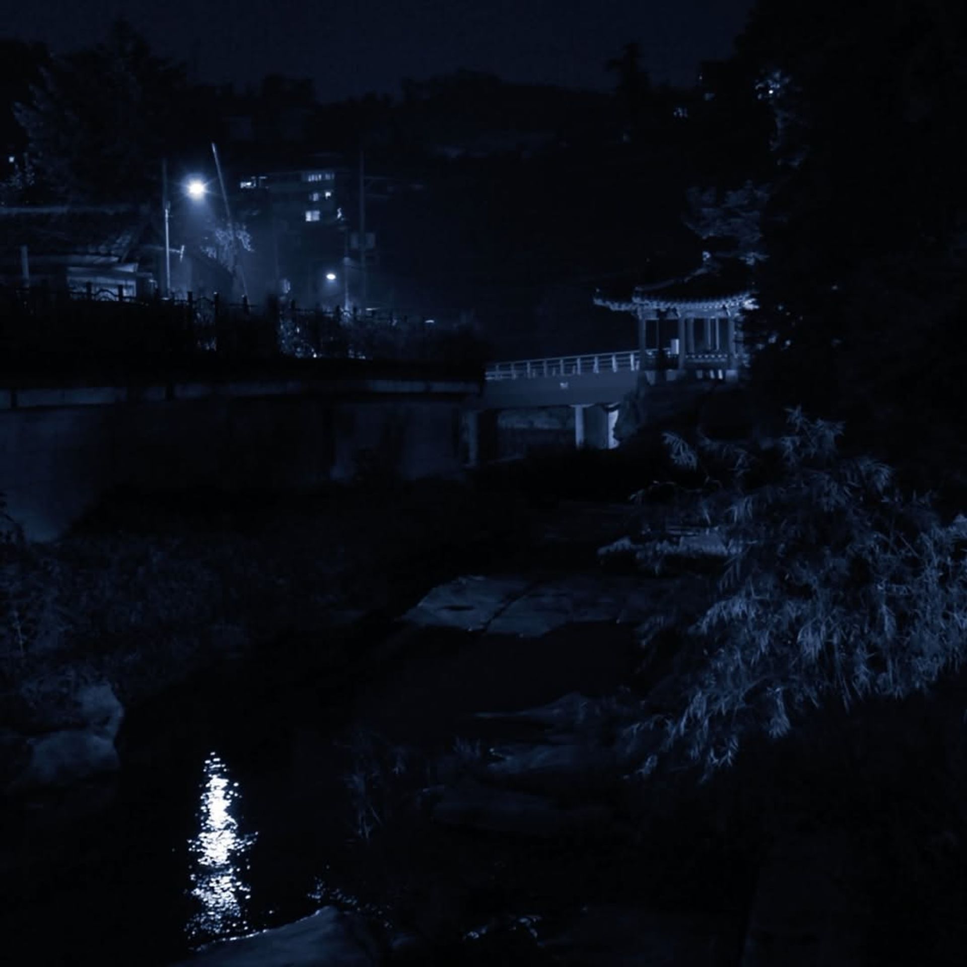 밤 산책(short ver.)