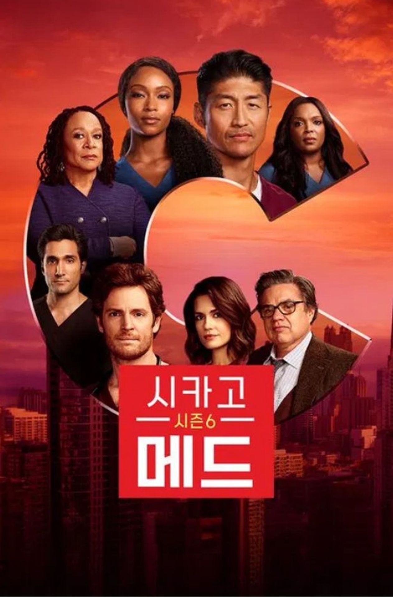 시카고 메드 시즌 6