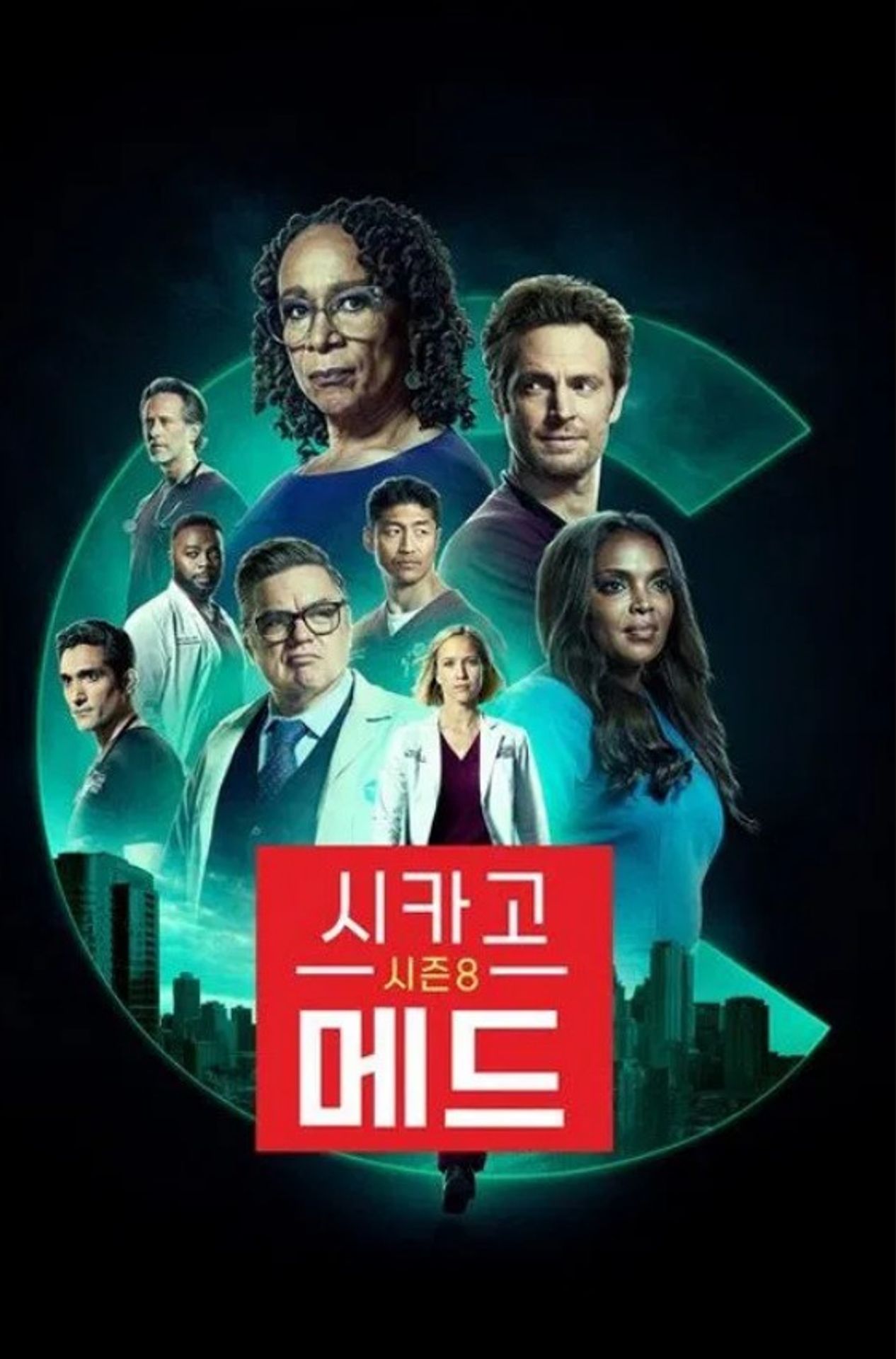 시카고 메드 시즌 8