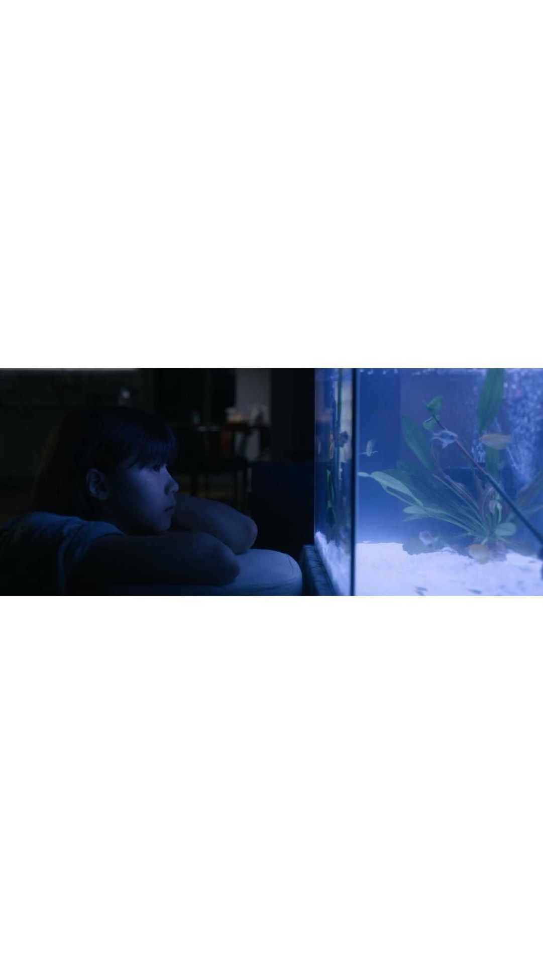 수영장 속 물고기