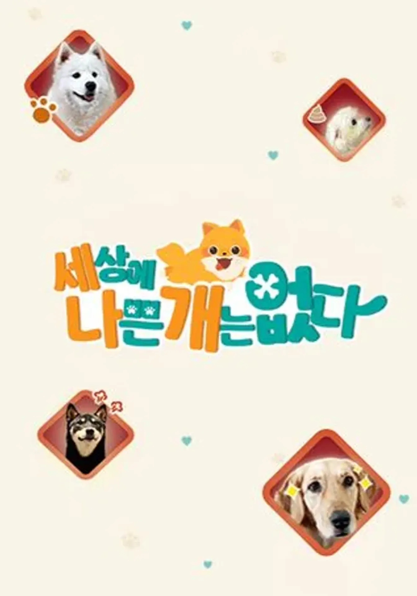 세상에 나쁜 개는 없다 시즌 5