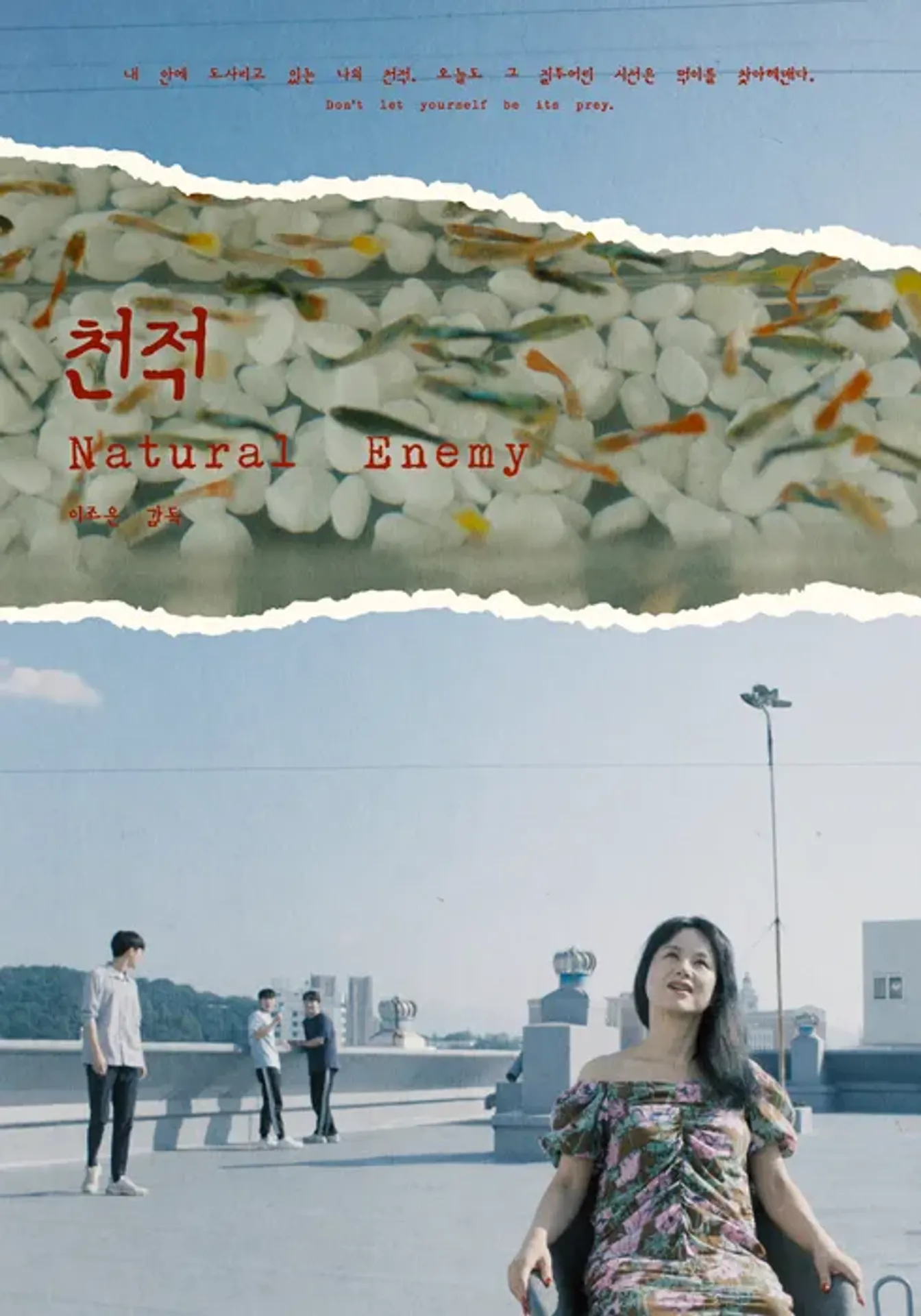 천적