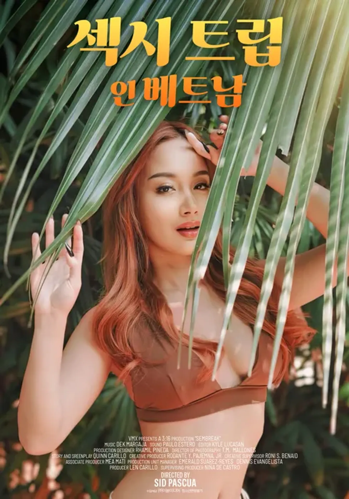 섹시 트립 인 베트남
