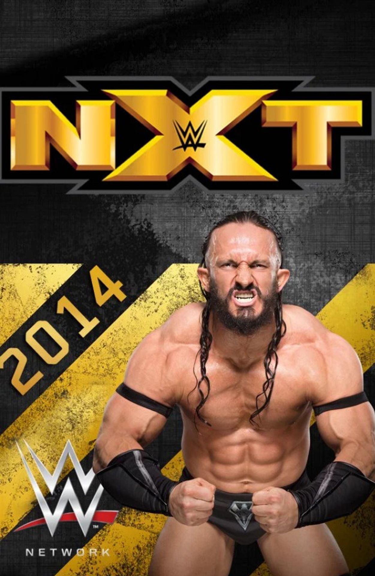 WWE NXT 2014