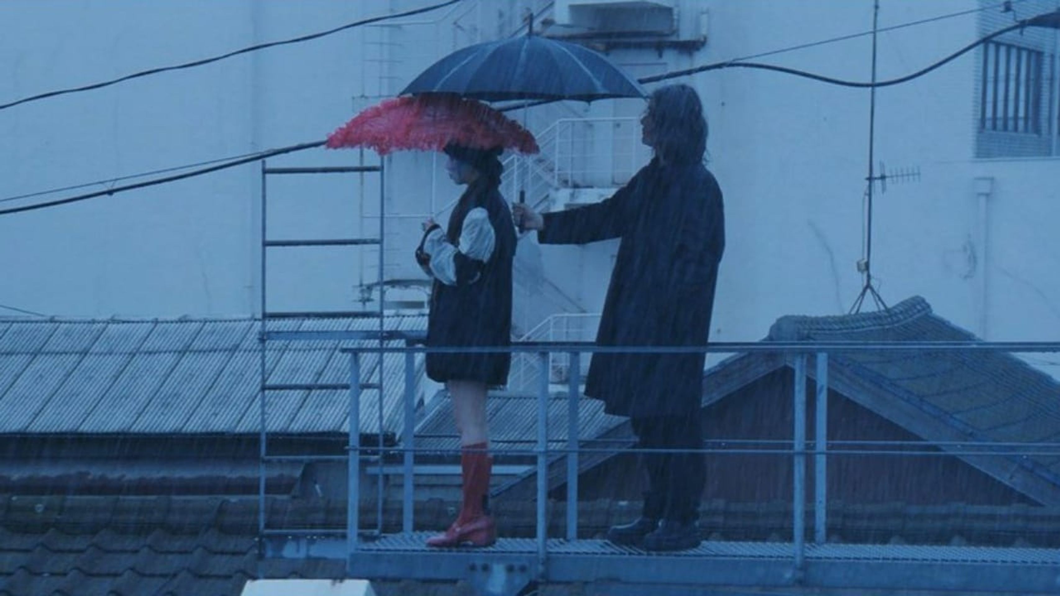 식일