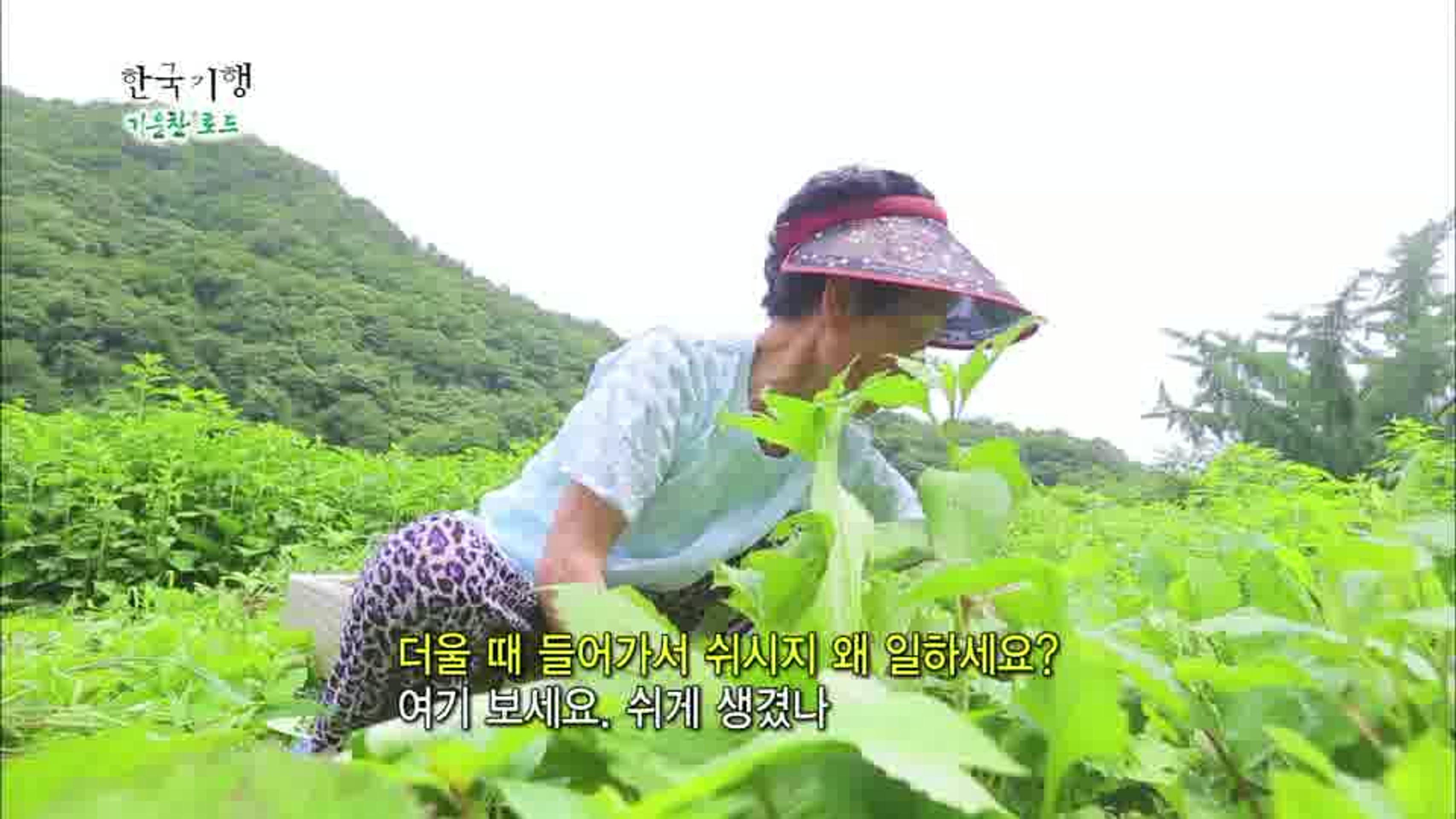 한국기행 - 기운찬 로드