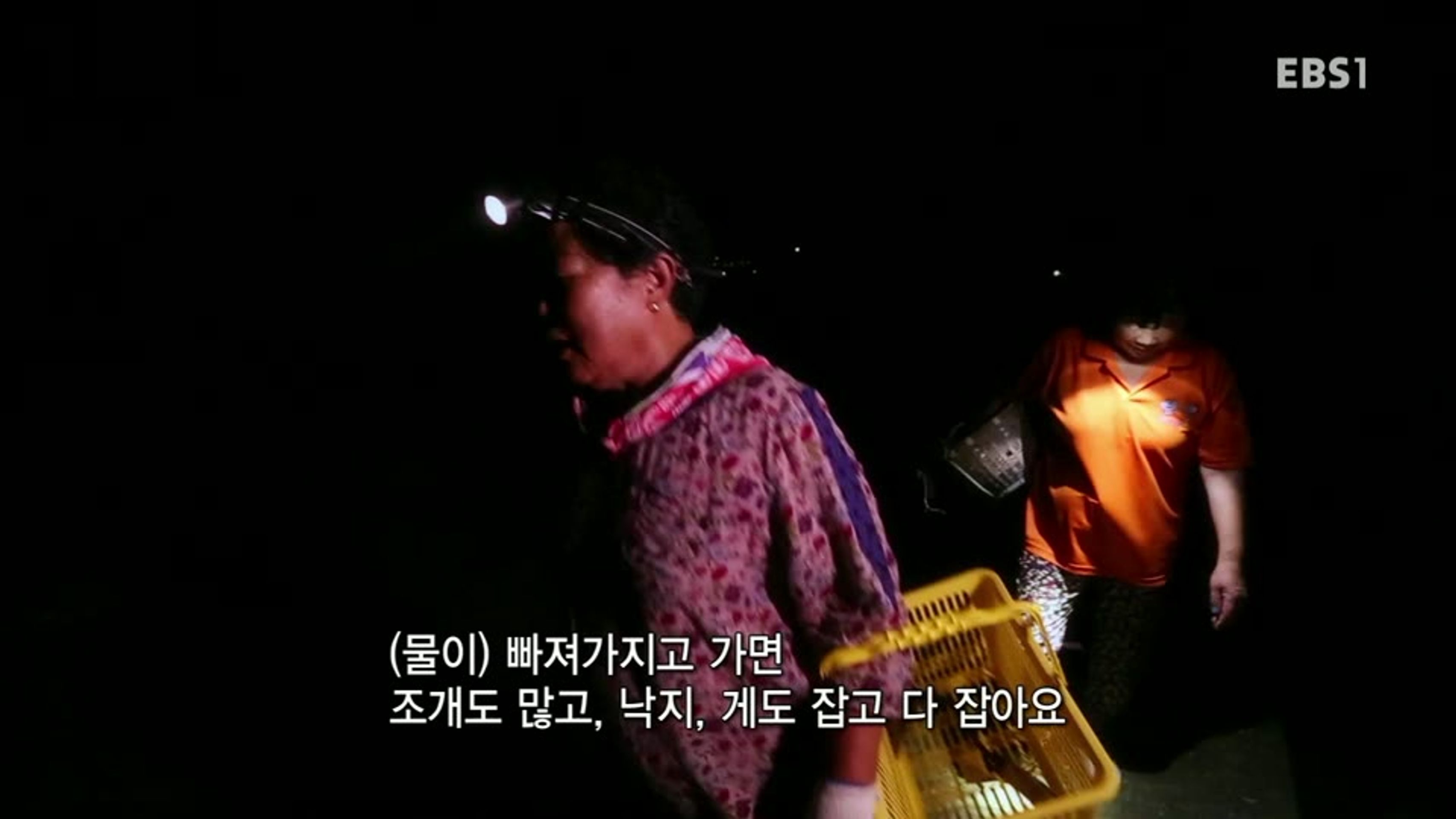 한국기행 - 달 따러 가세