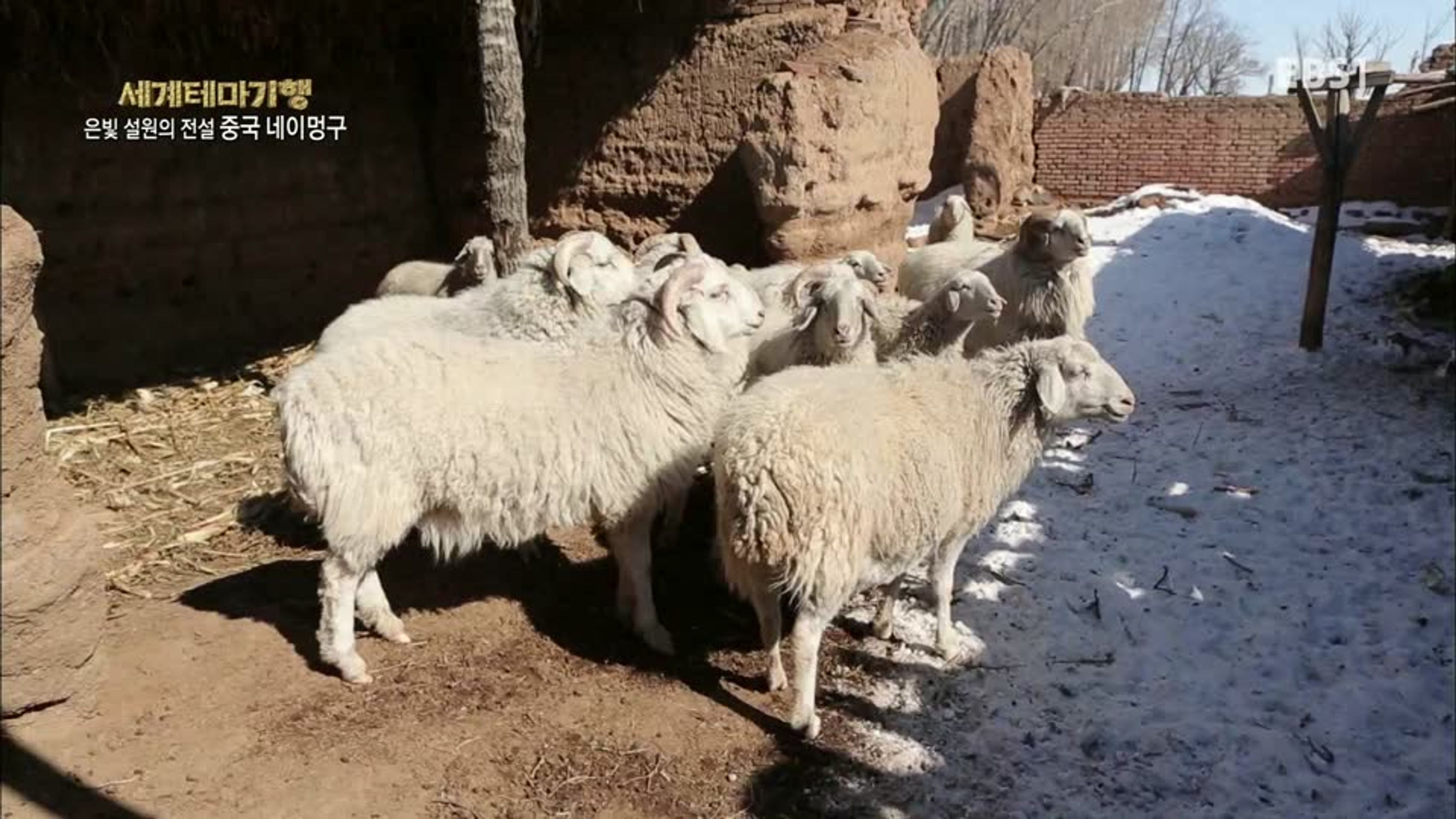 세계테마기행 - 은빛 설원의 전설 중국 네이멍구