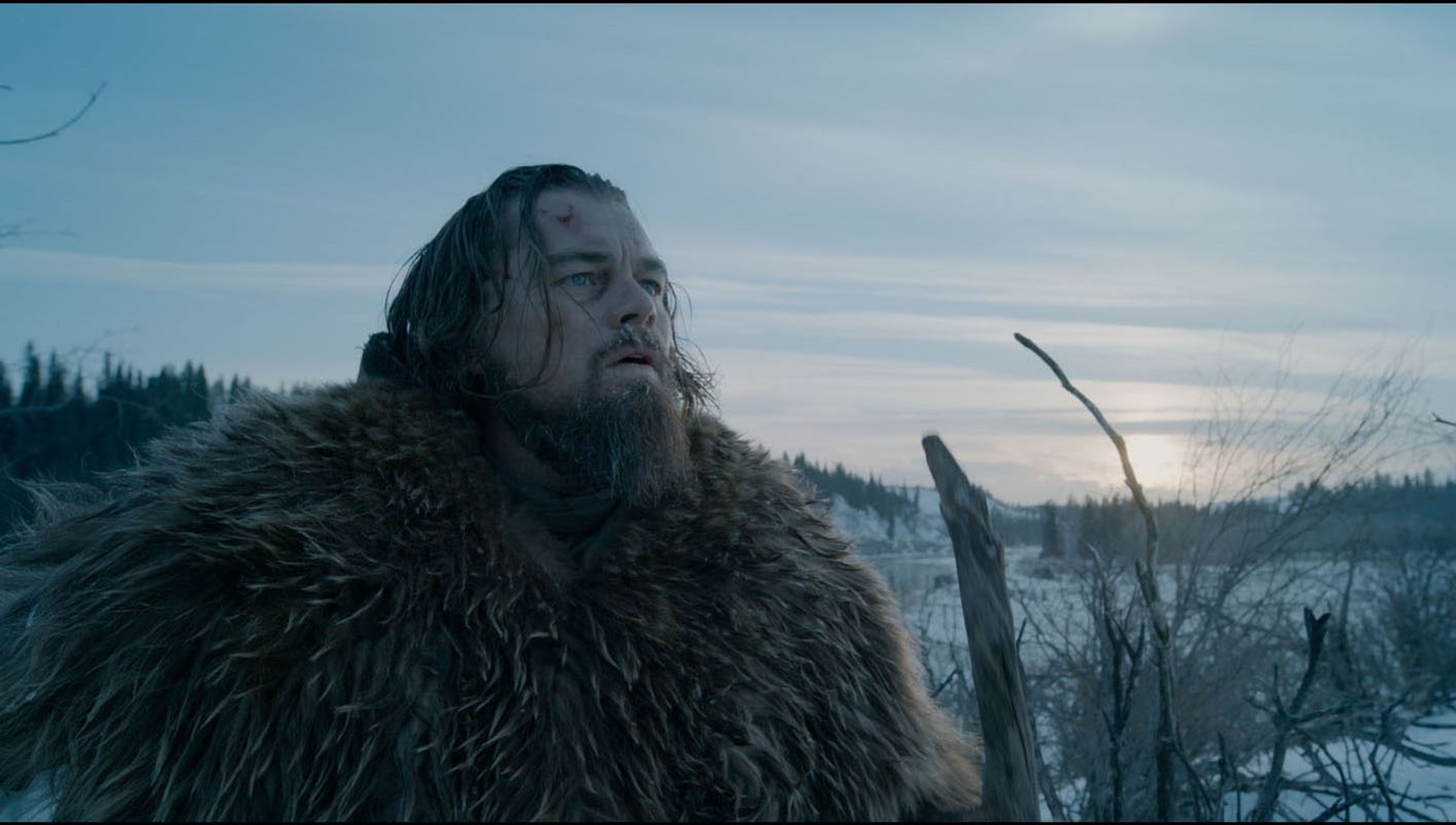 레버넌트: 죽음에서 돌아온 자