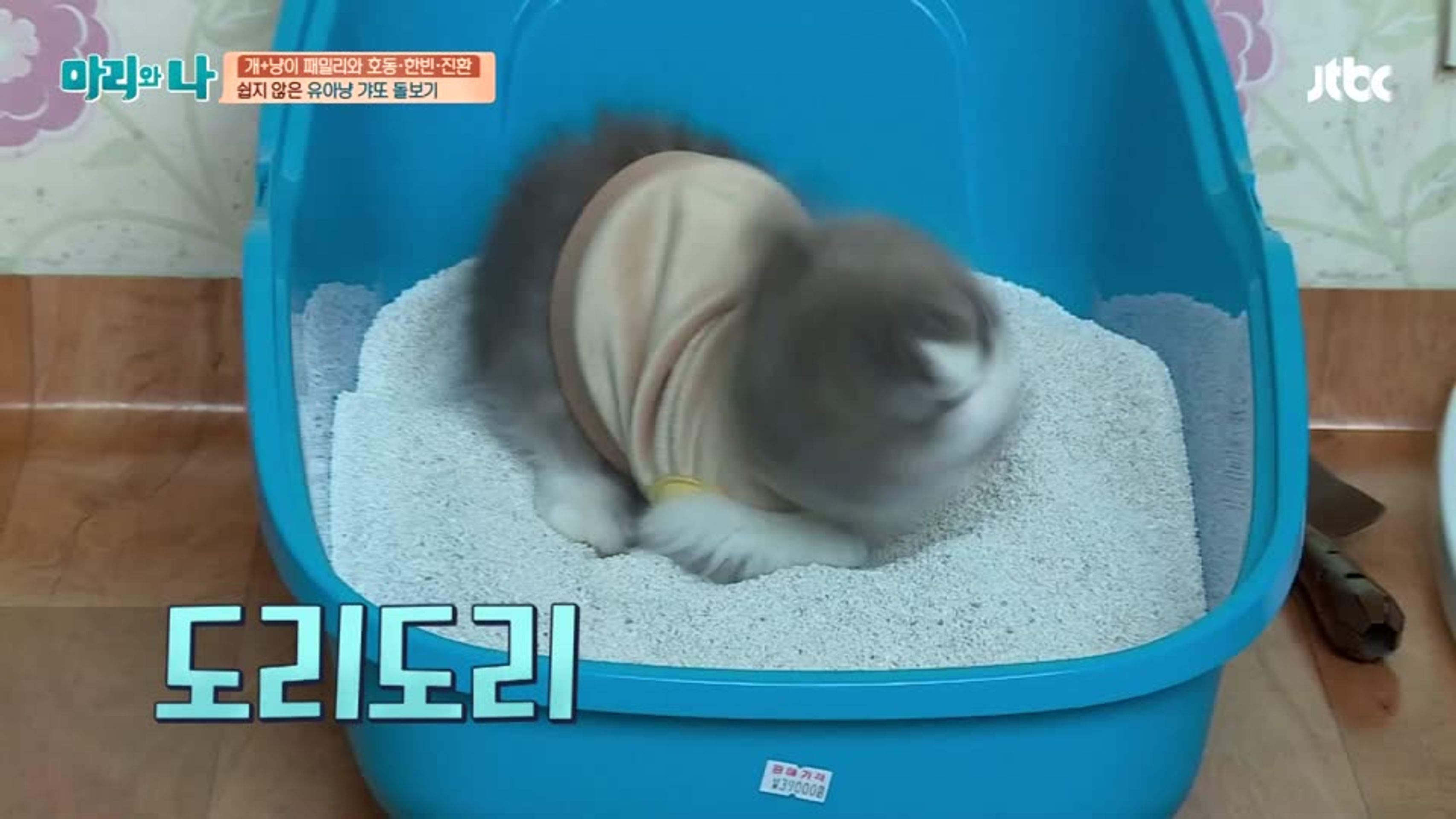 마리와 나