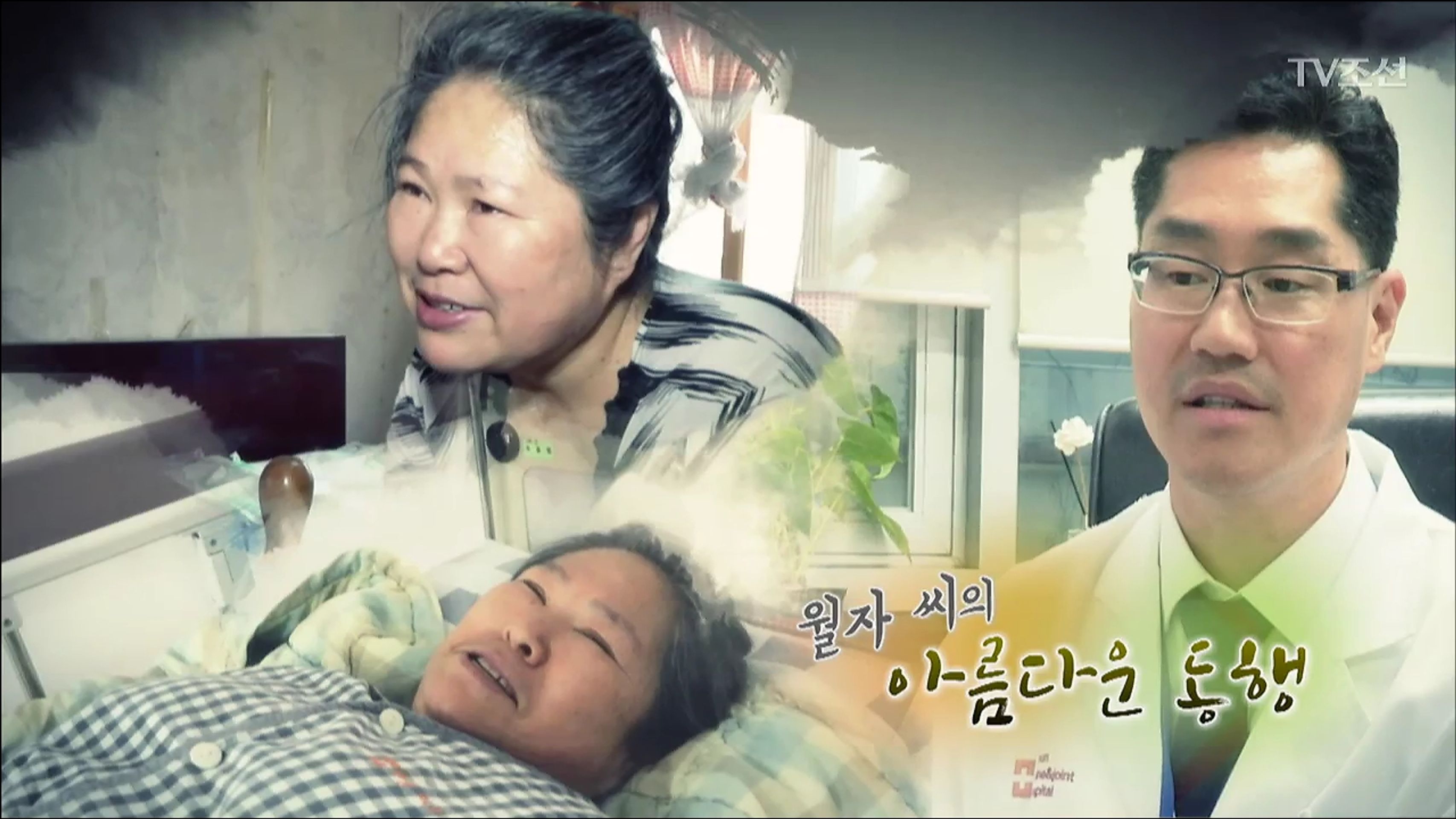 해바라기 시즌4