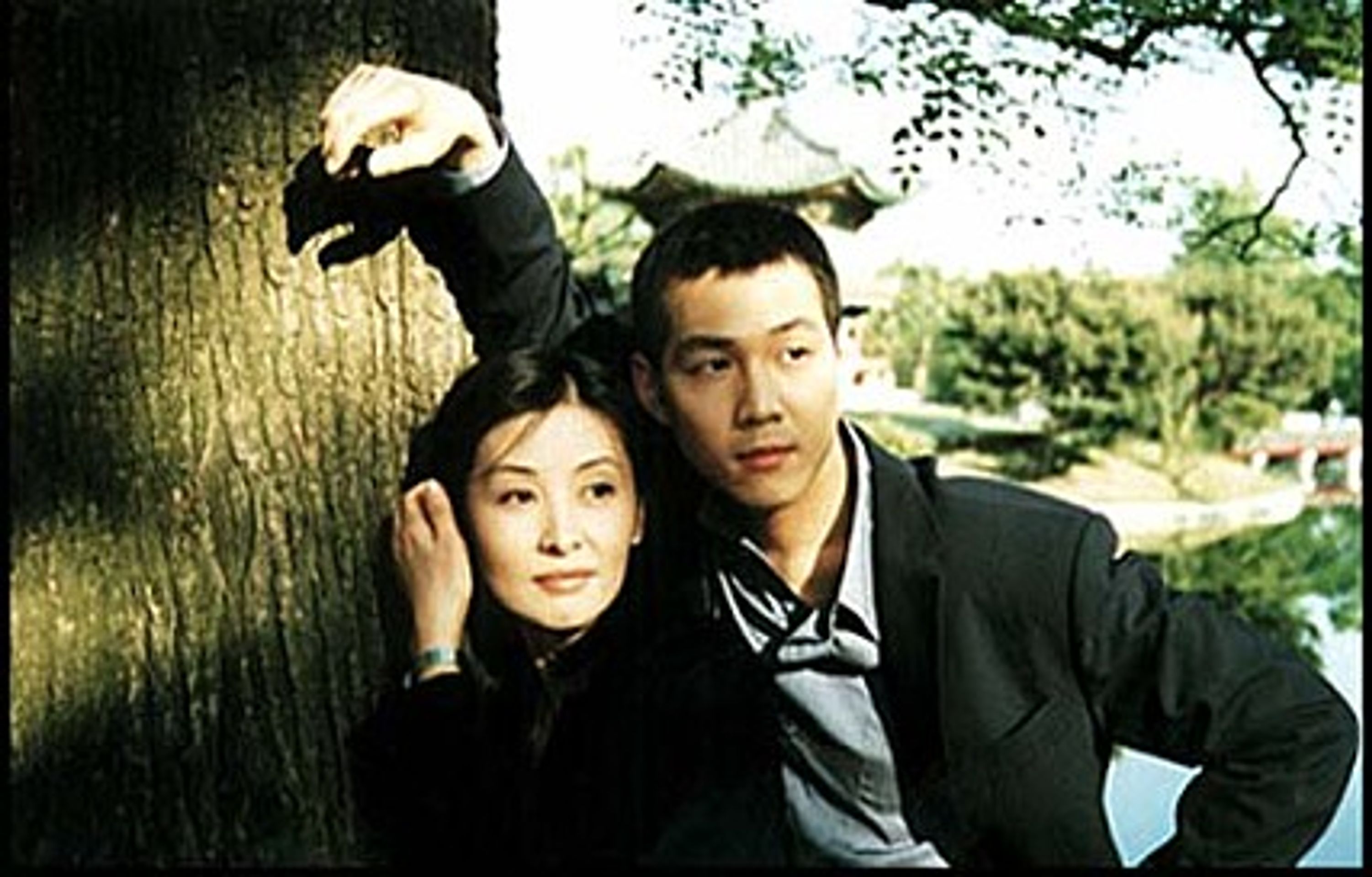 정사