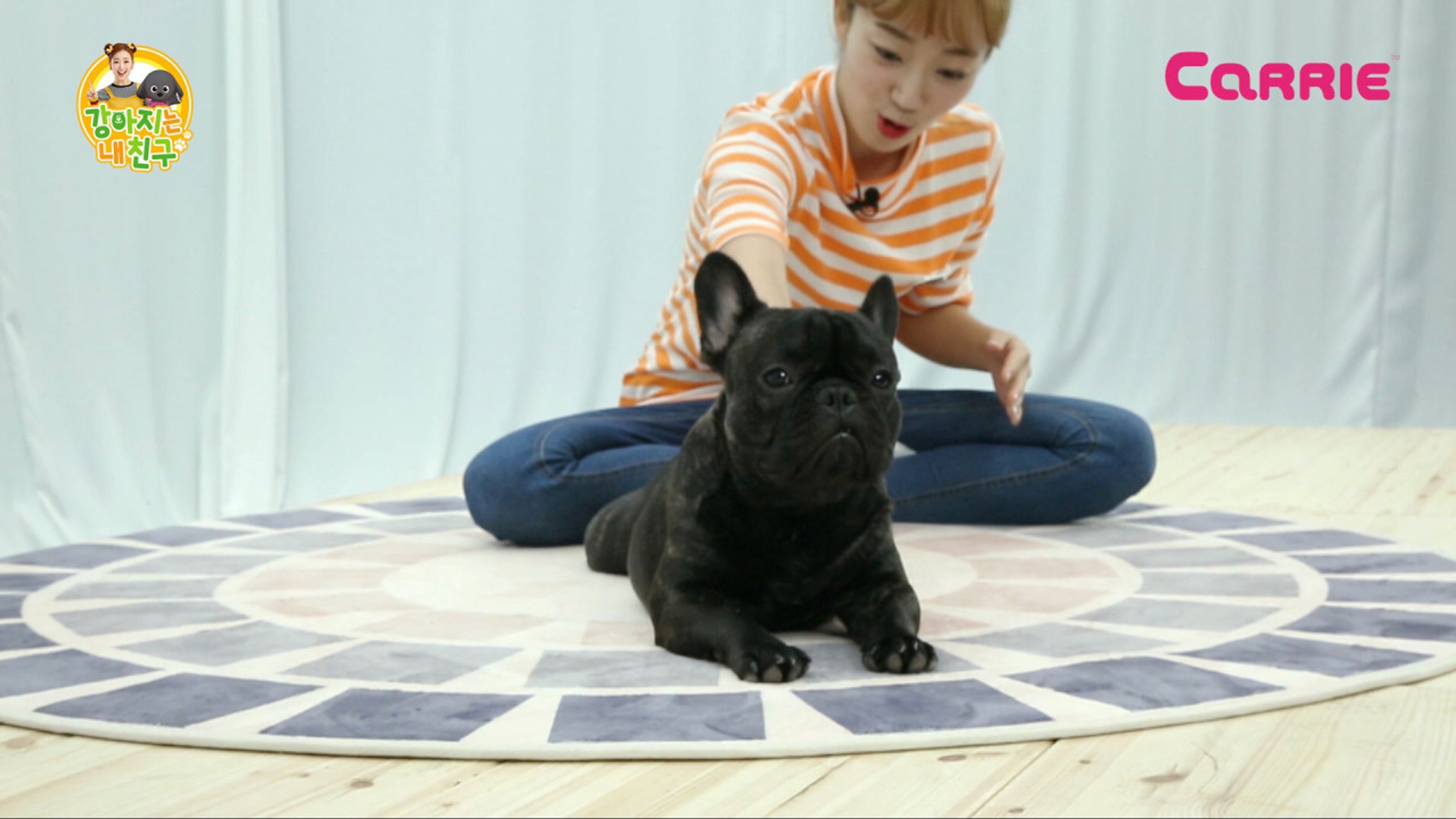강아지는 내 친구