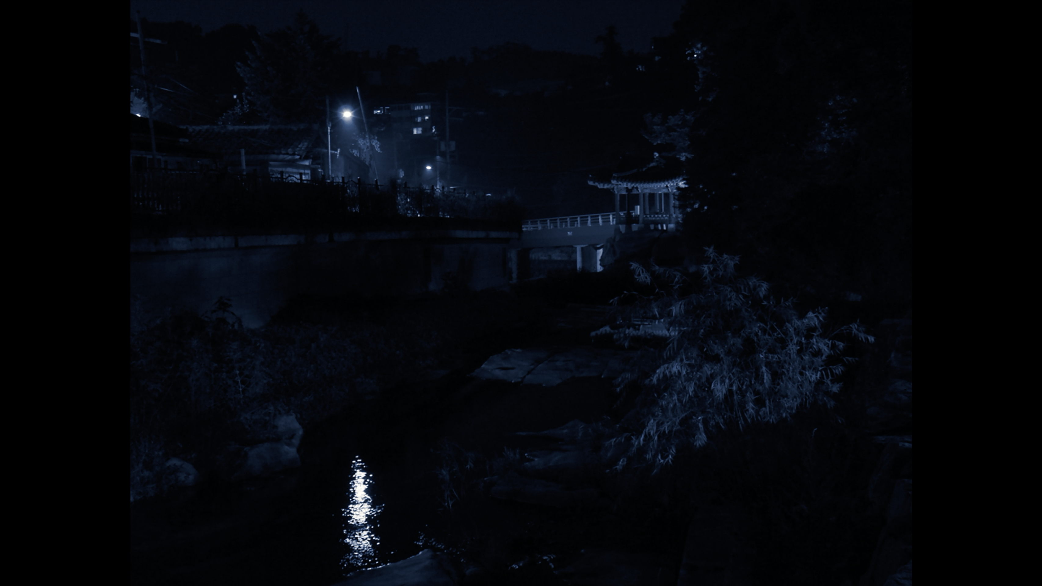 밤 산책