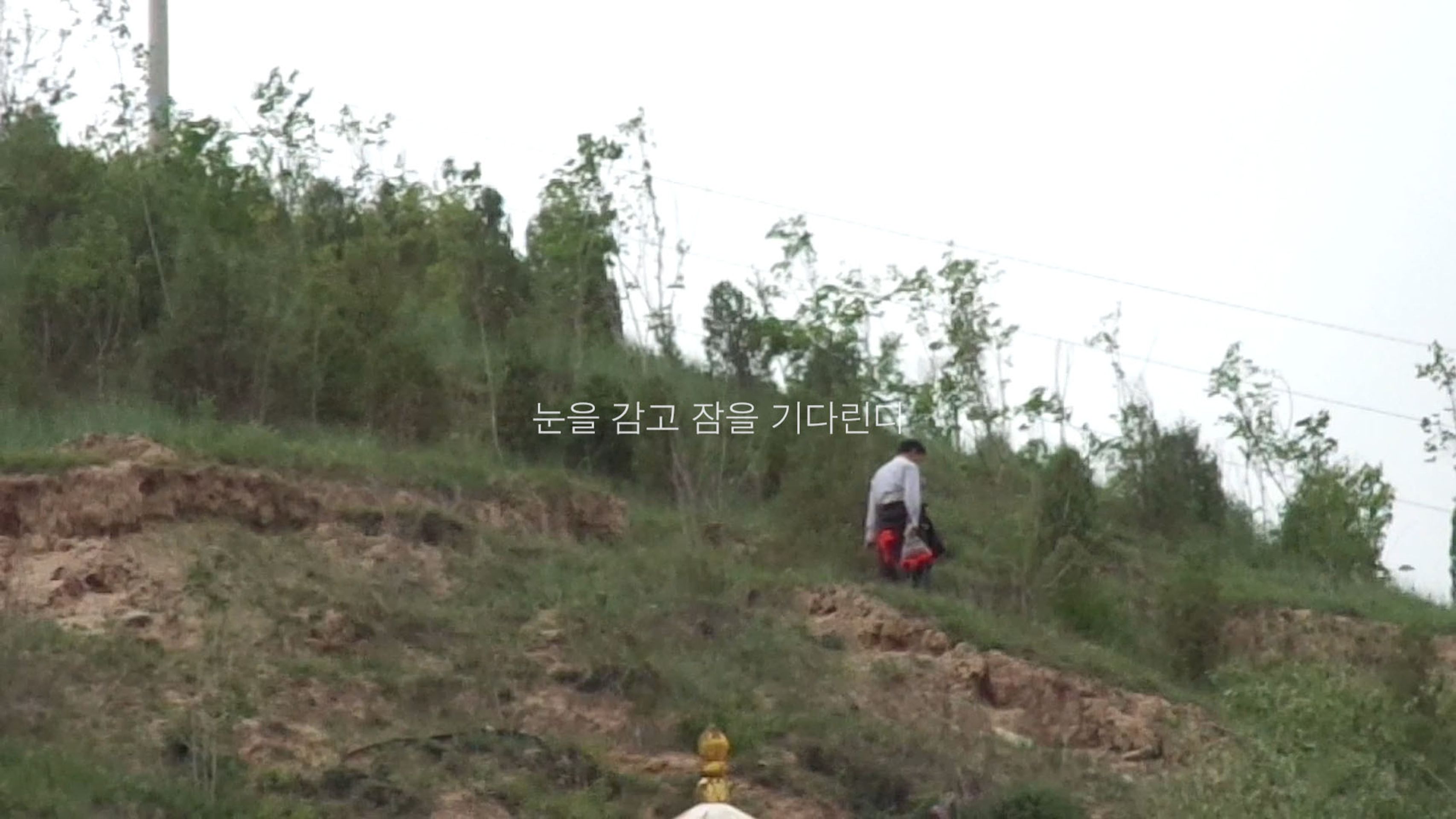 고양이는 자는 척을 할까