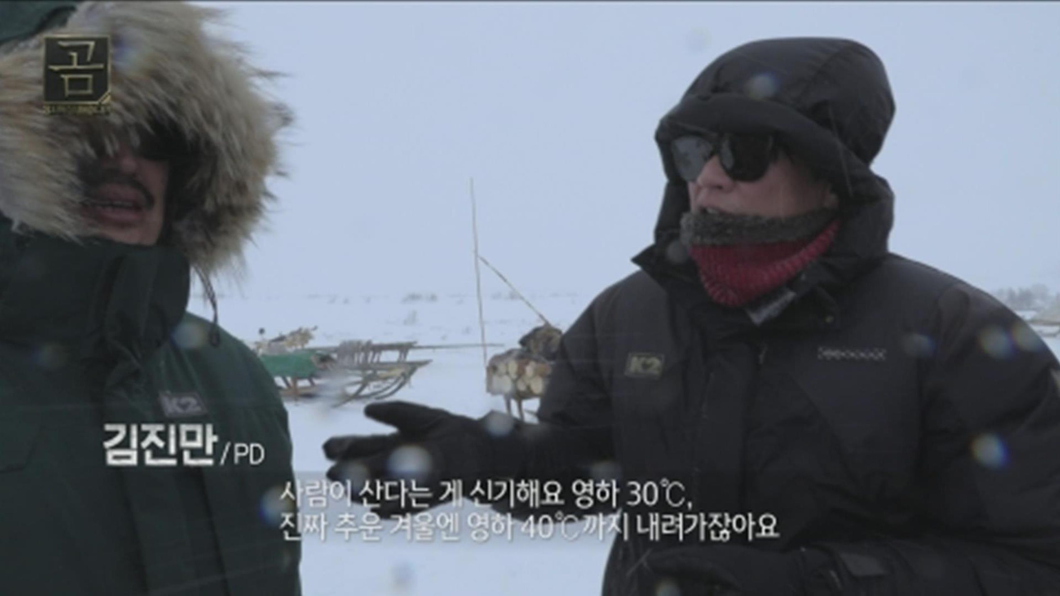 UHD 다큐멘터리 곰