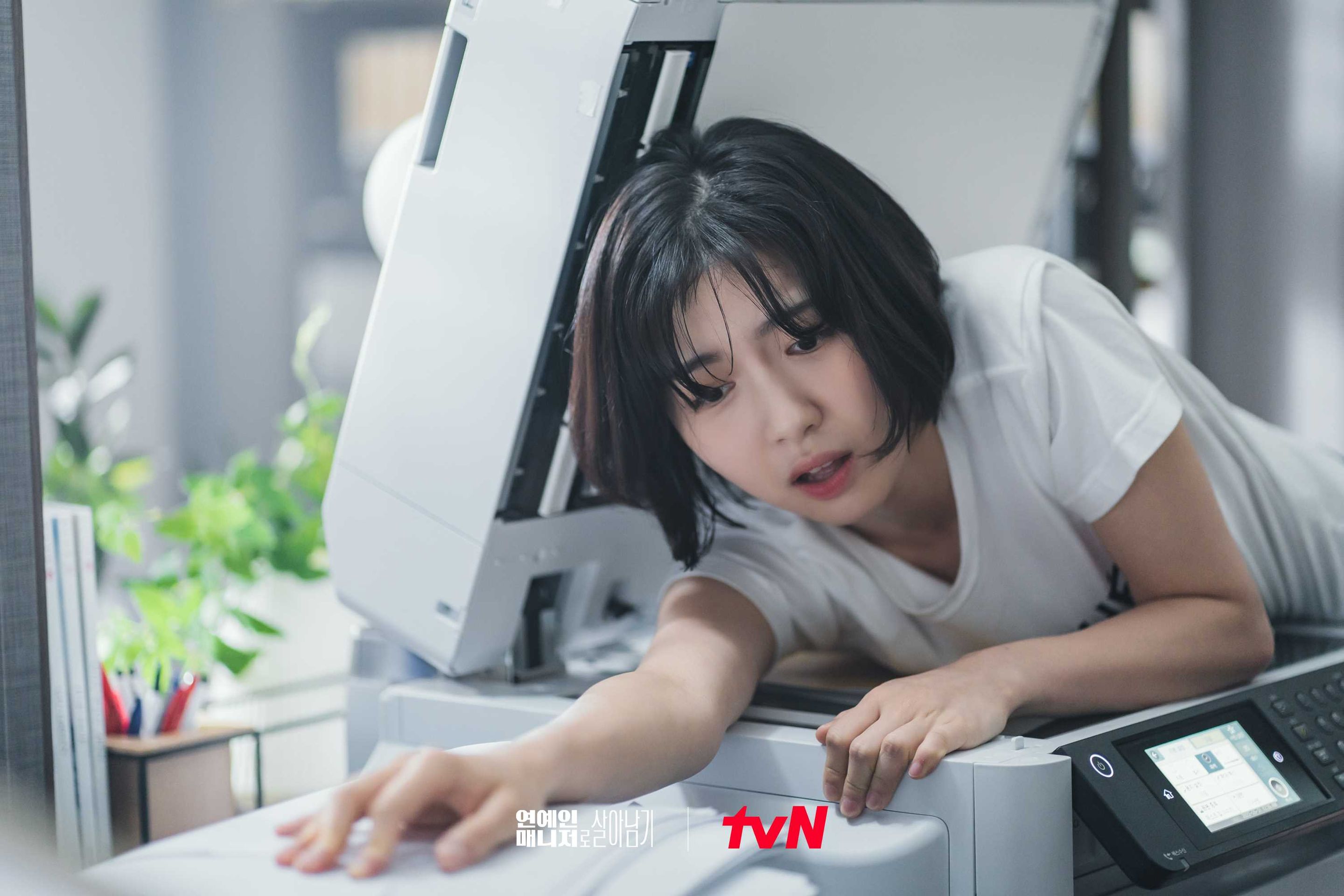 연예인 매니저로 살아남기