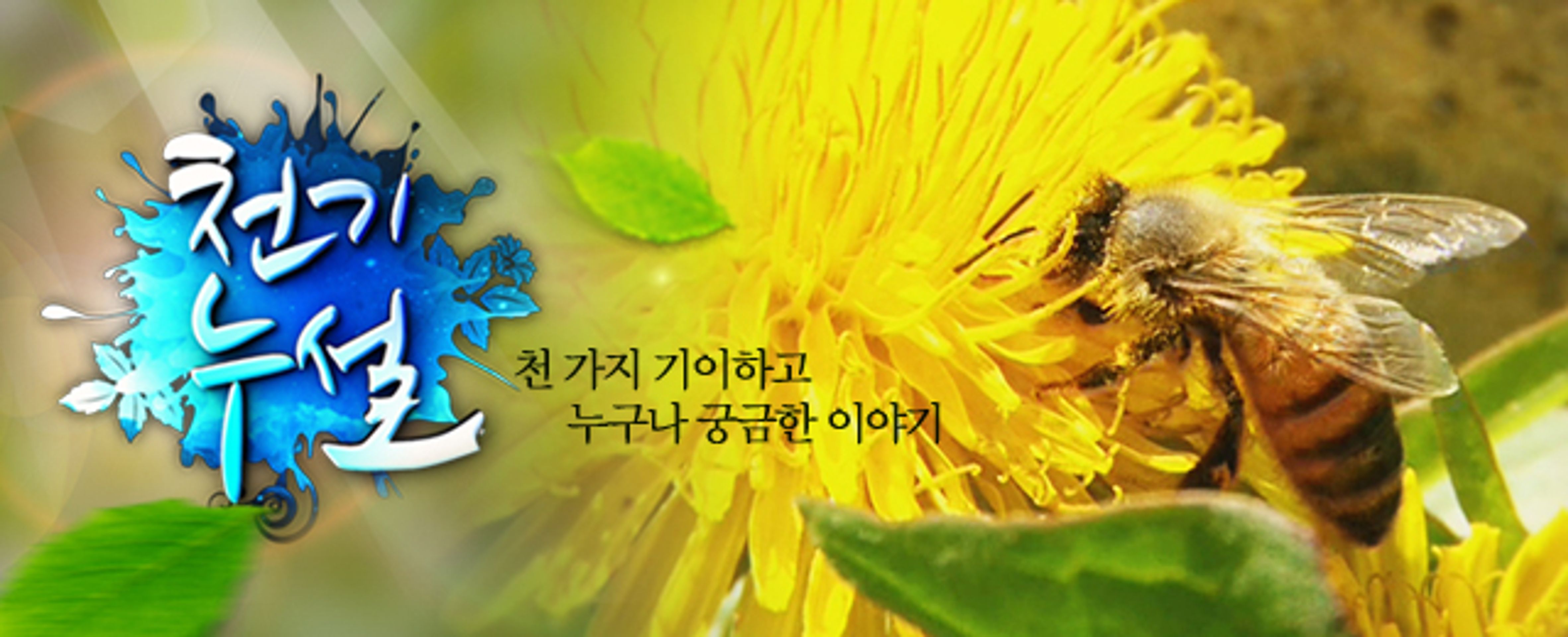 천기누설