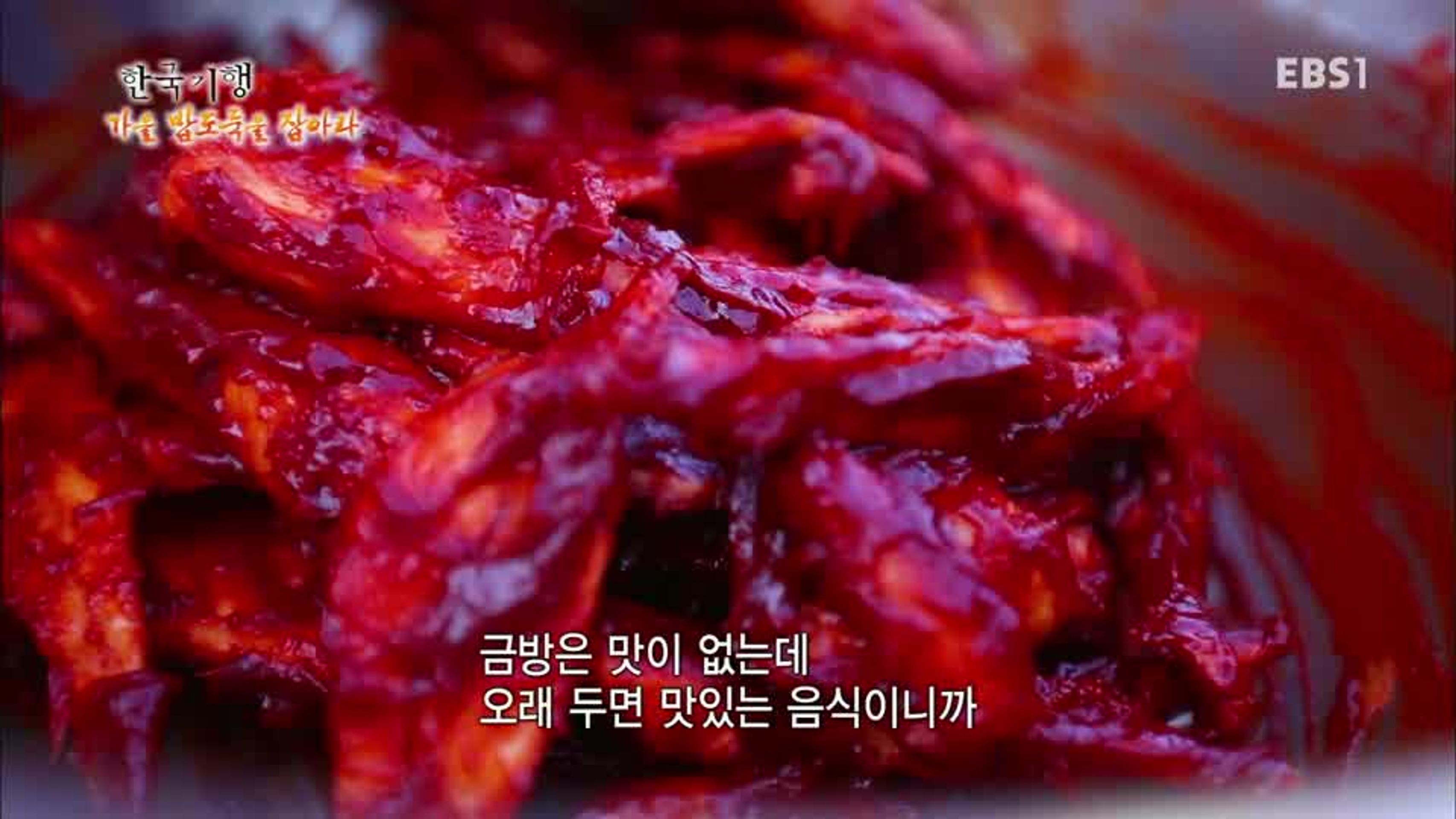한국기행 - 가을 밥도둑을 잡아라