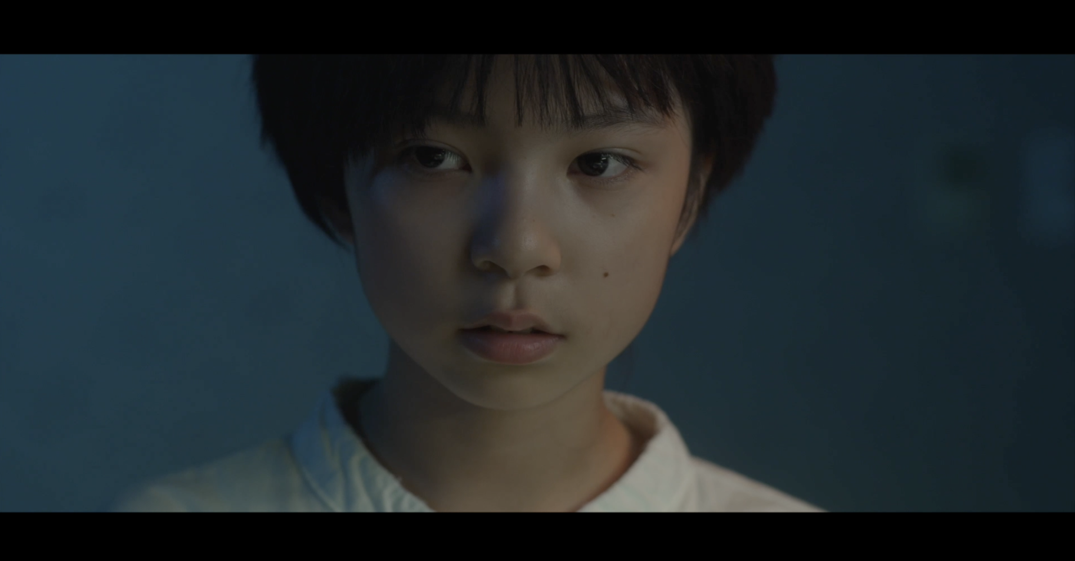 새 가족