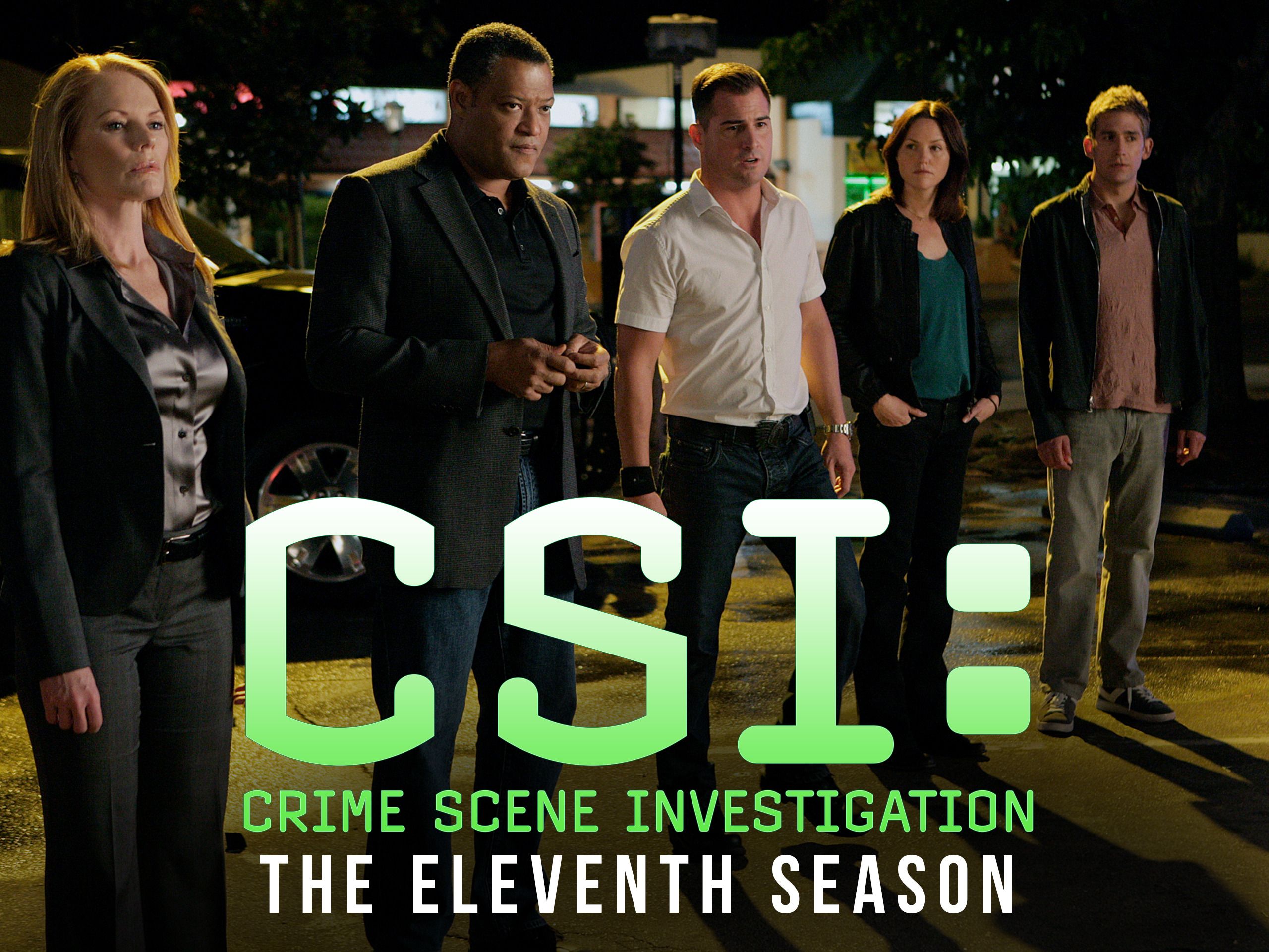 CSI: 라스베가스 시즌 11