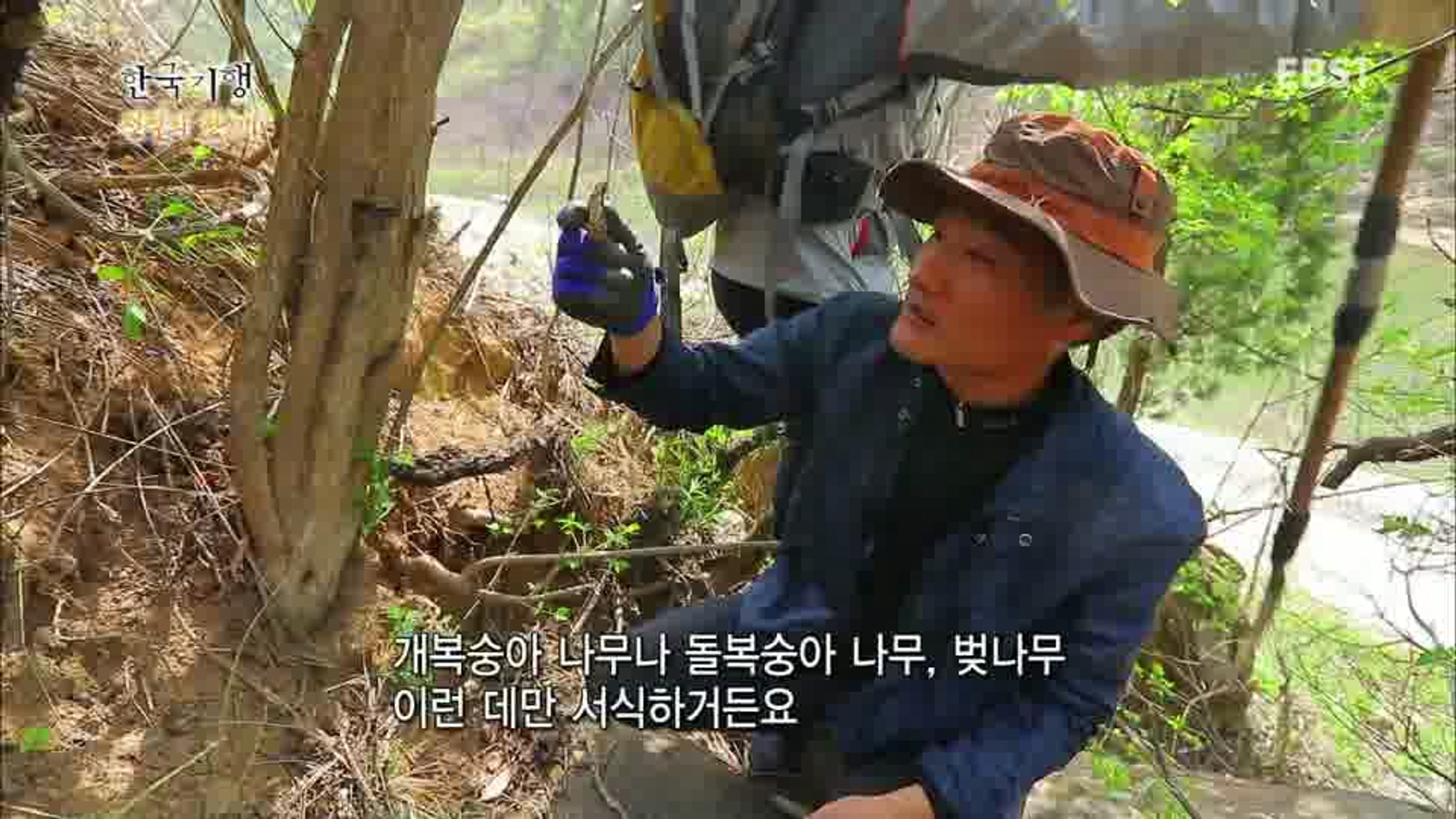 한국기행 - 전설의 한 끼