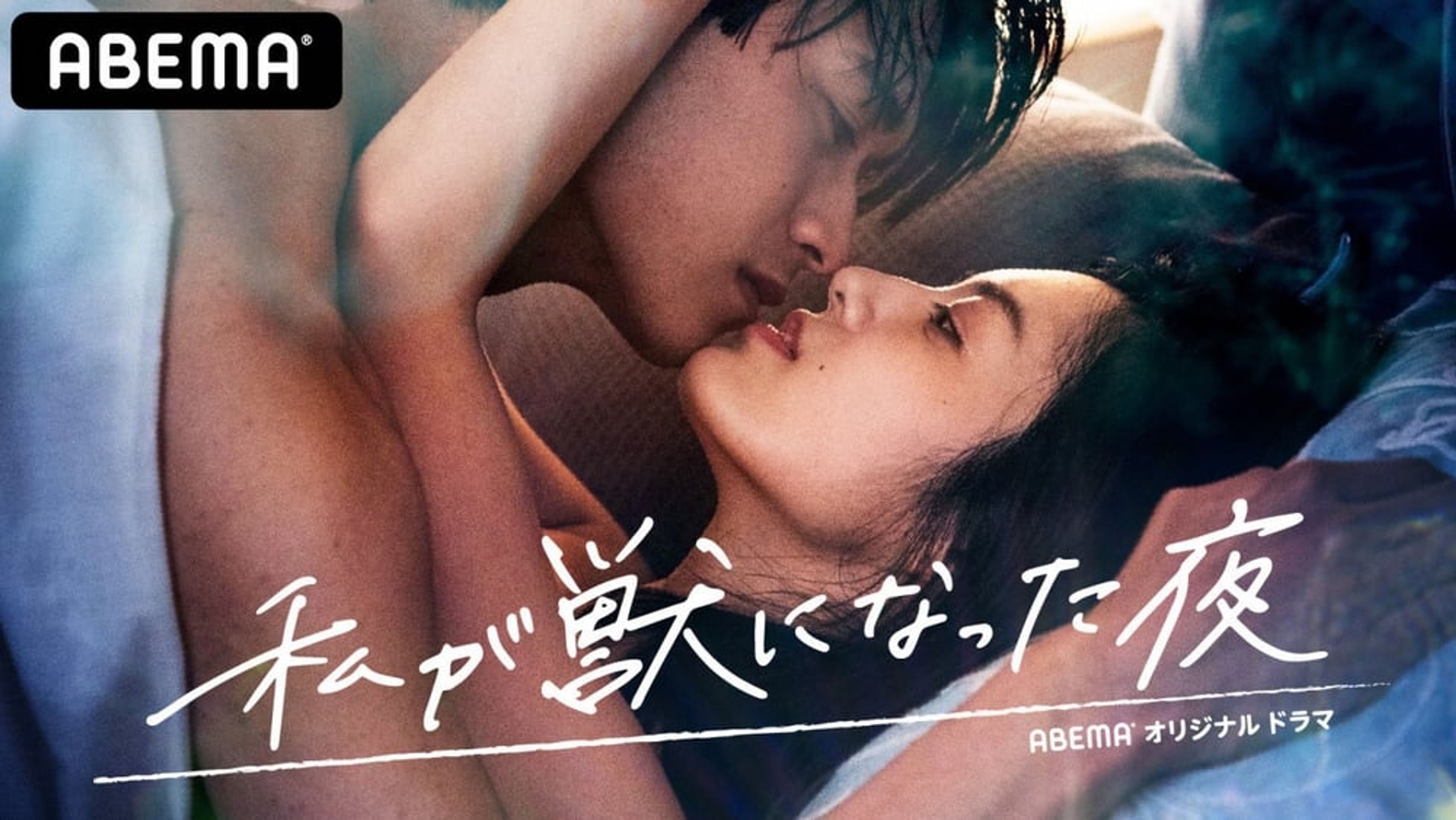 내가 짐승이 된 밤
