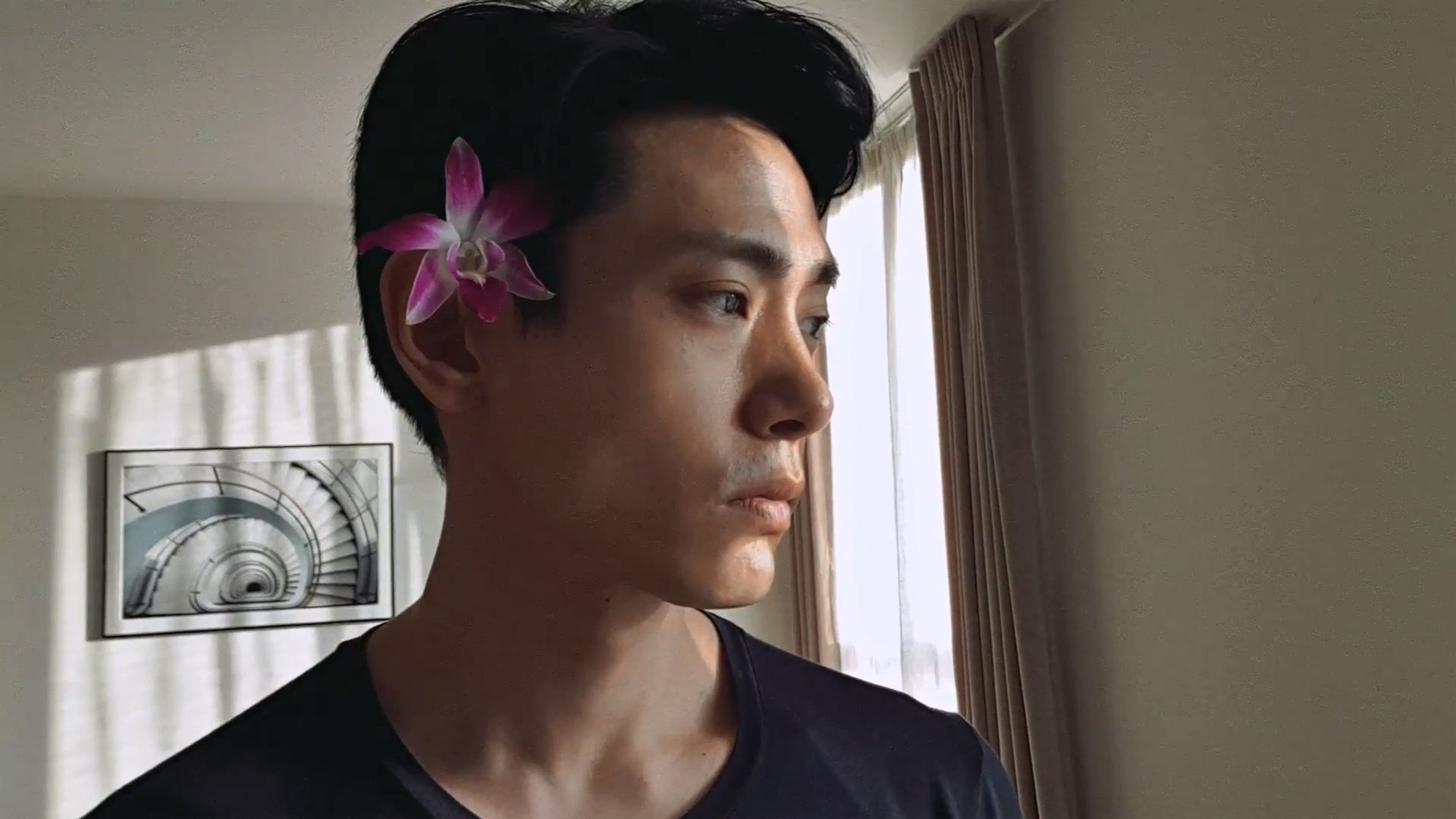 로그 인 벨지움