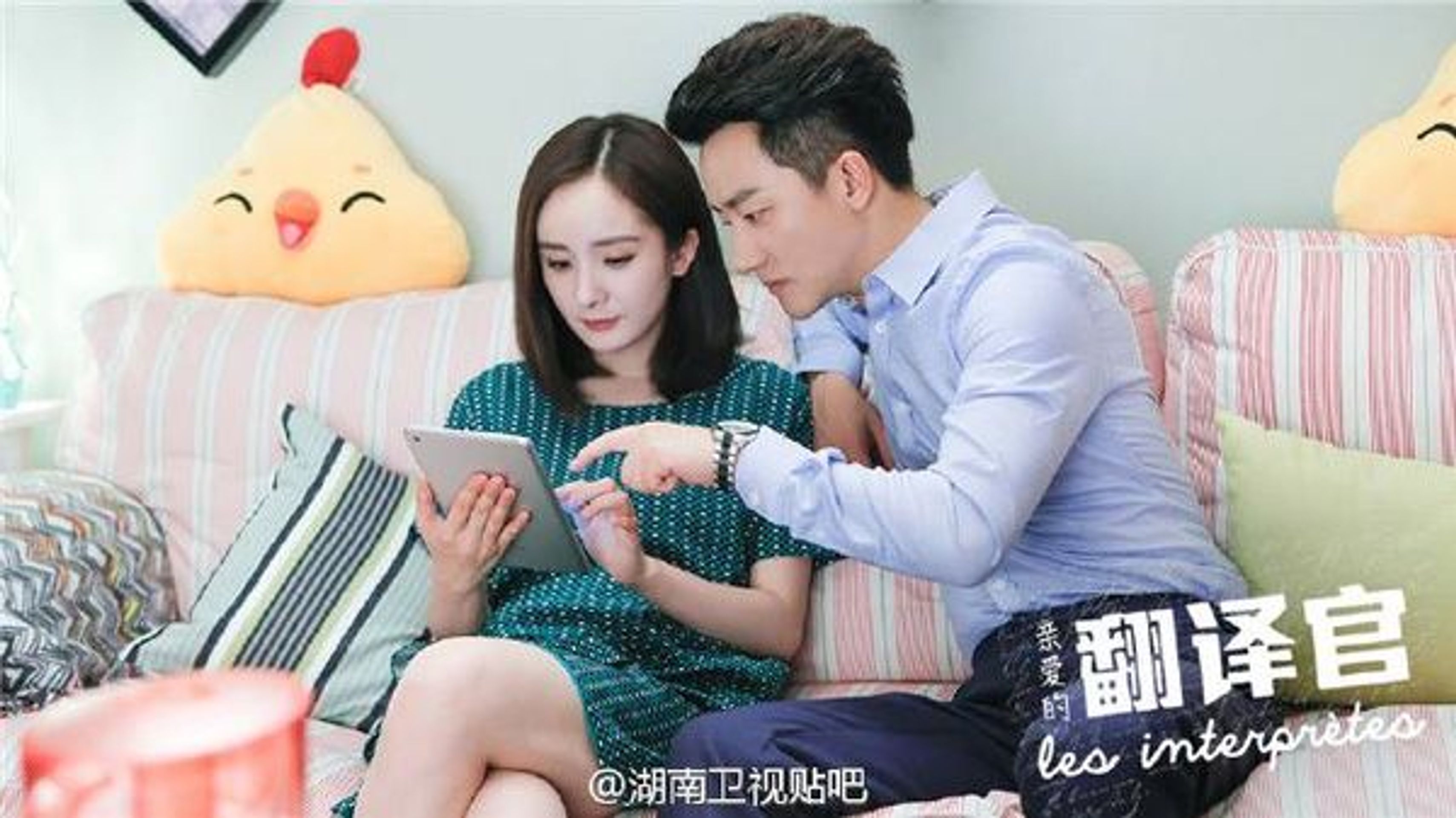 친애적번역관