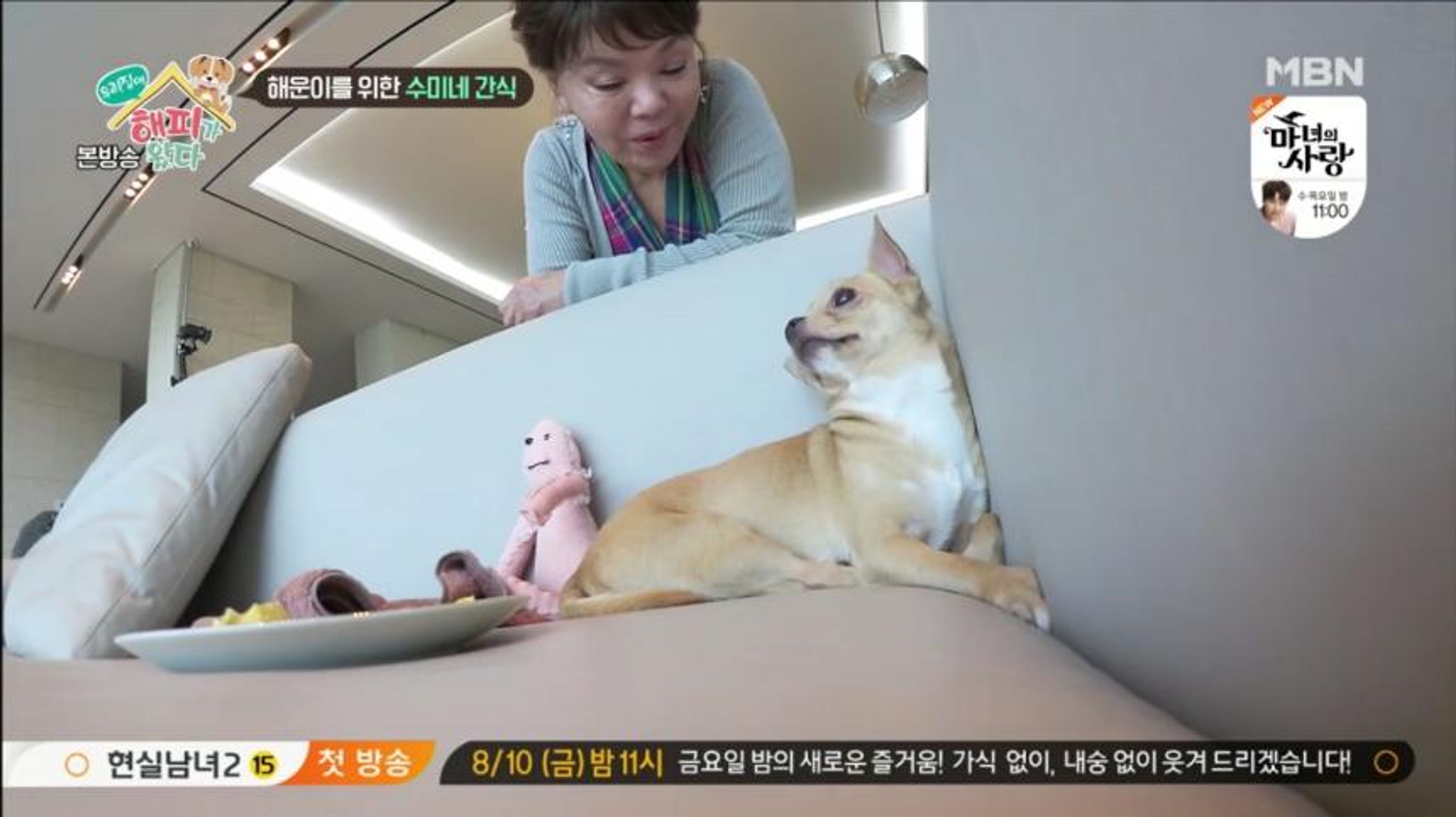 우리 집에 해피가 왔다