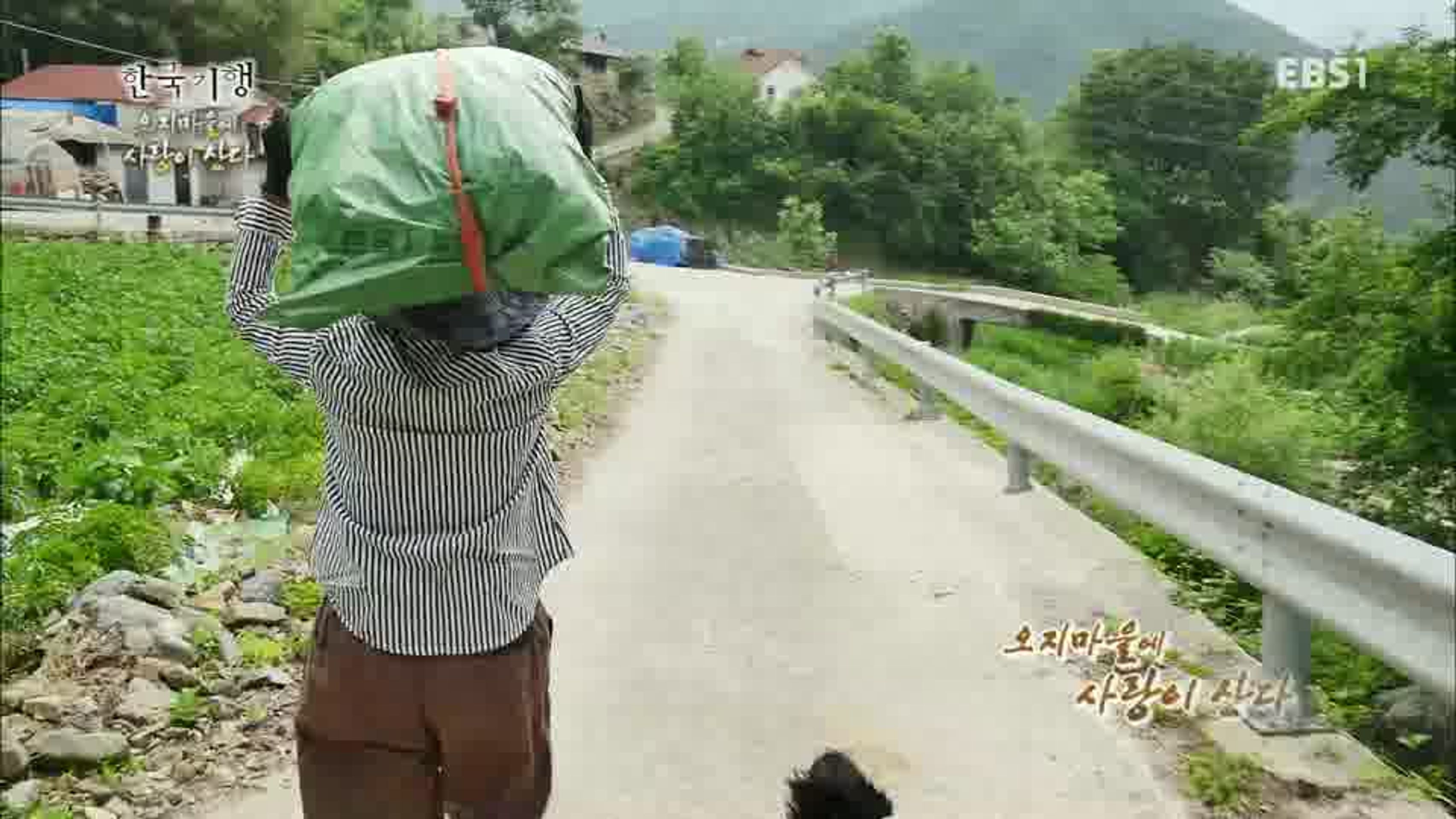 한국기행 - 오지마을에 사랑이 산다