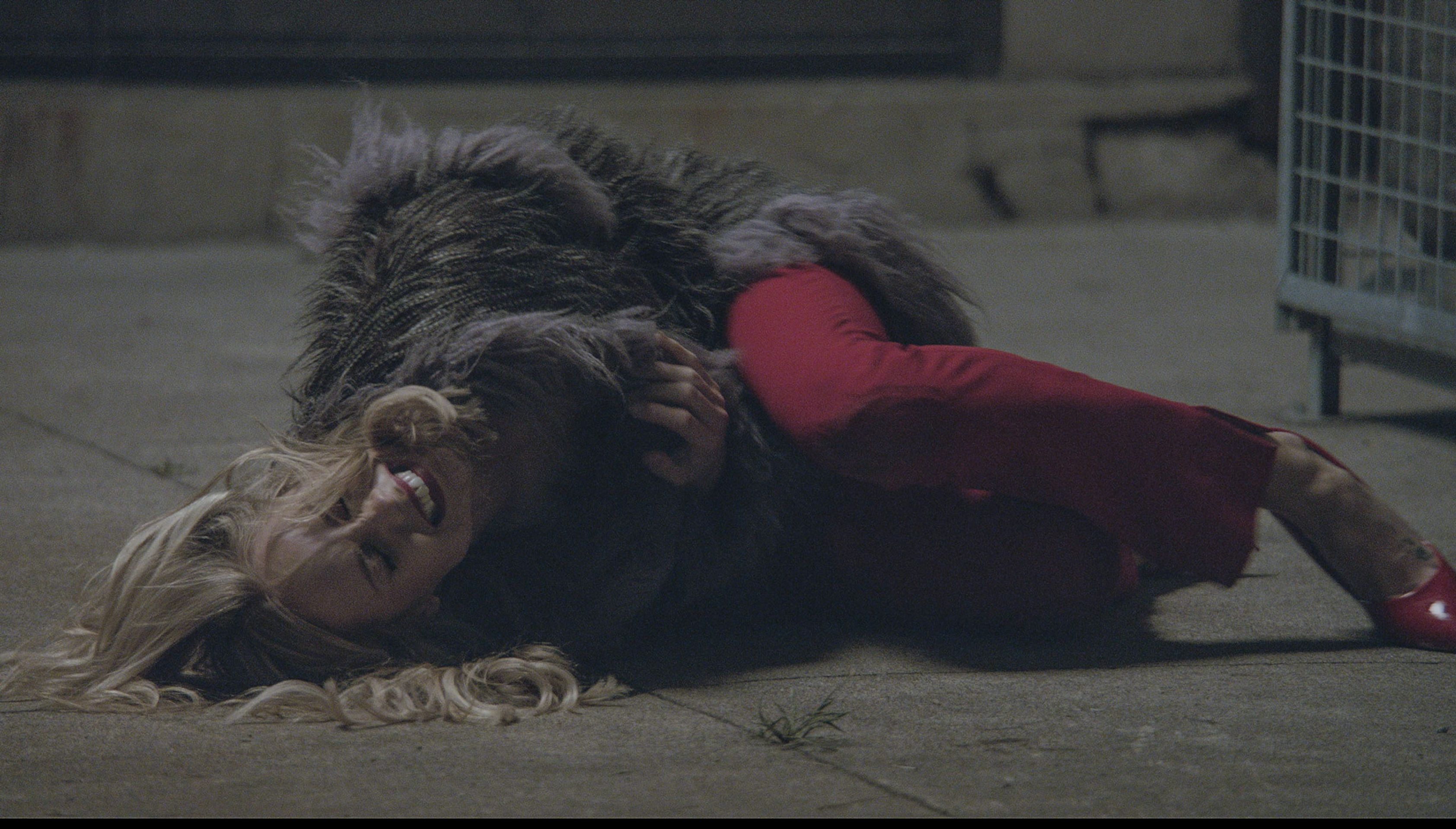 라비드
