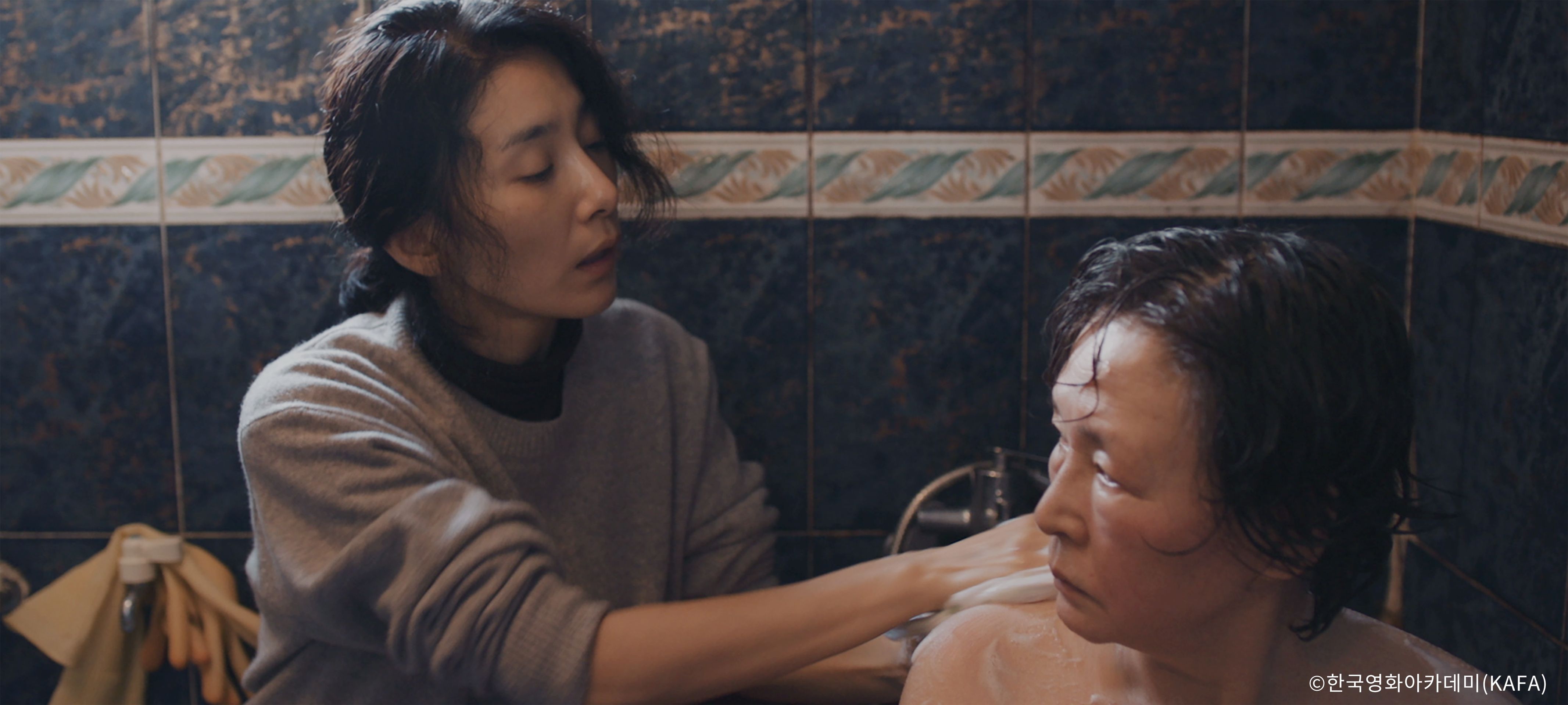 비닐하우스