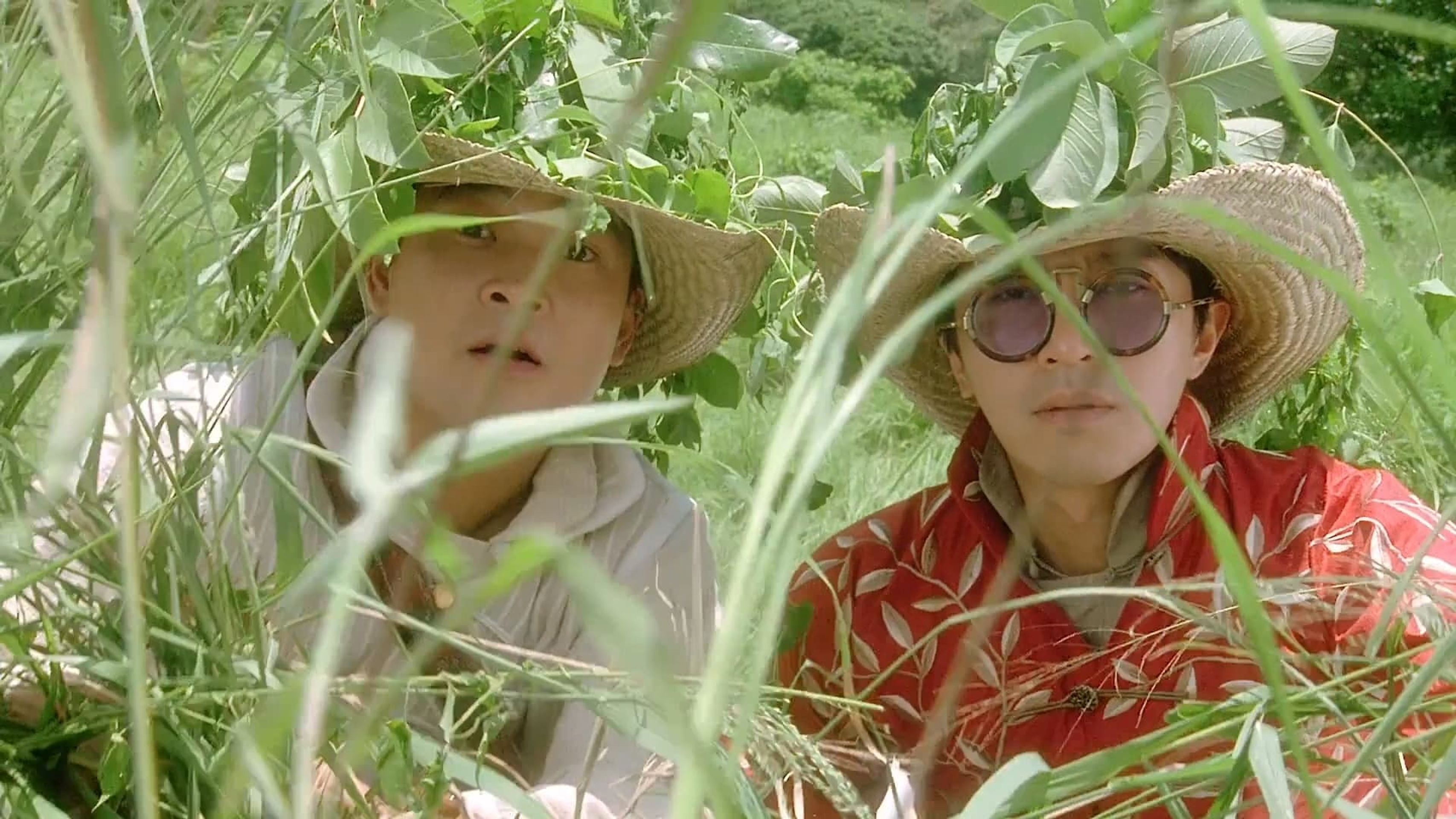 산사초