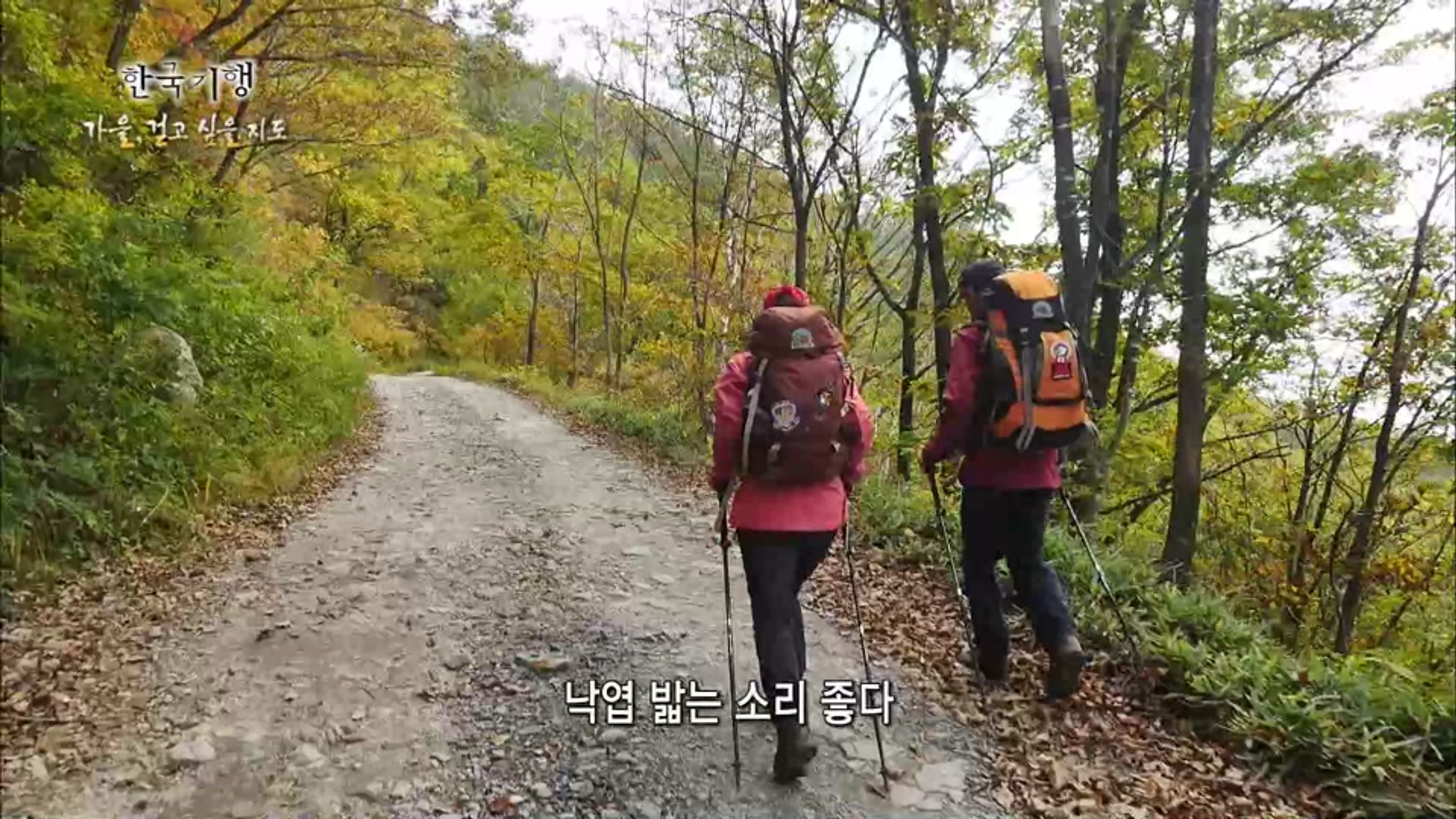 한국기행 - 가을, 걷고 싶을지도