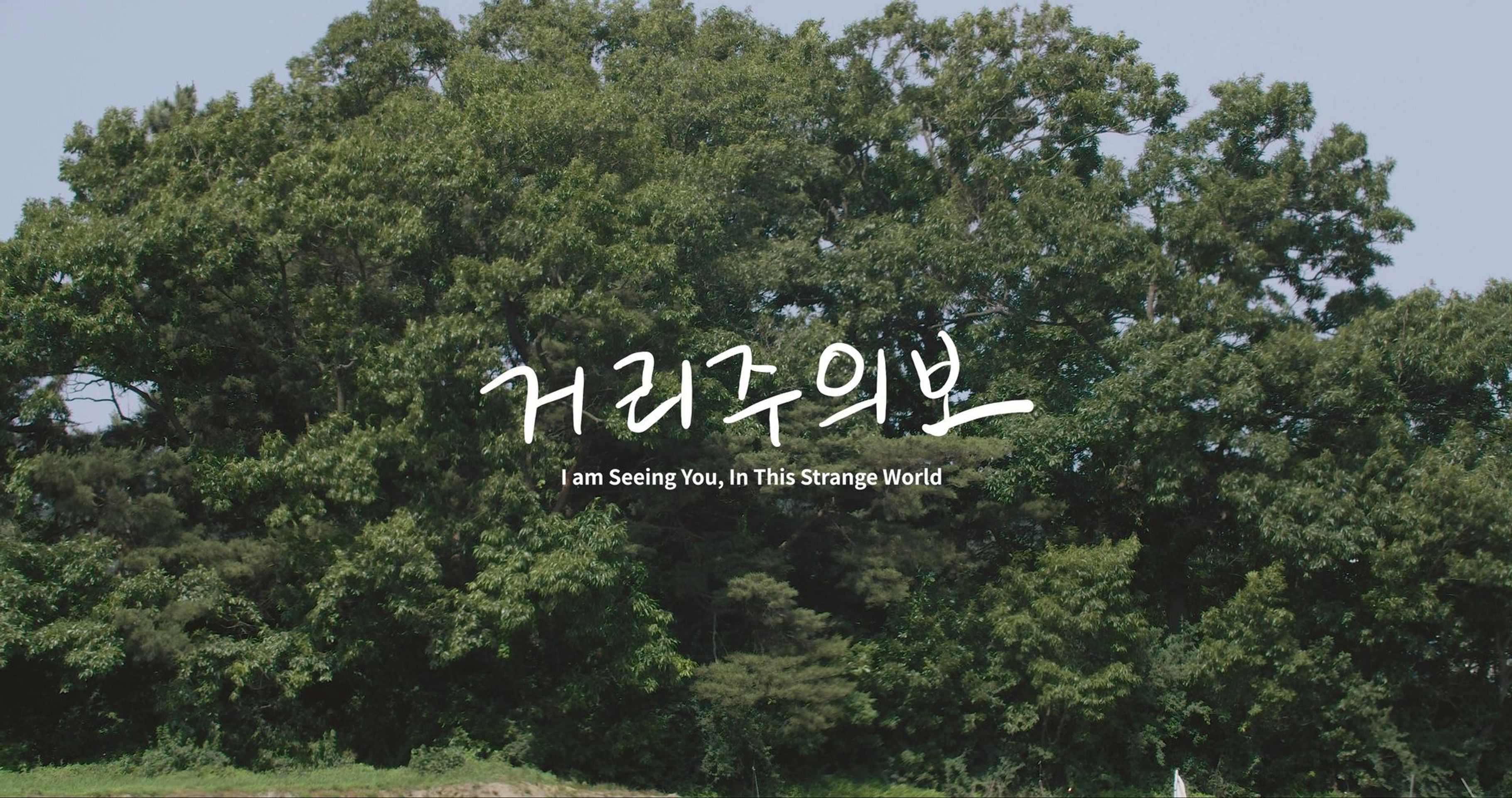 거리주의보