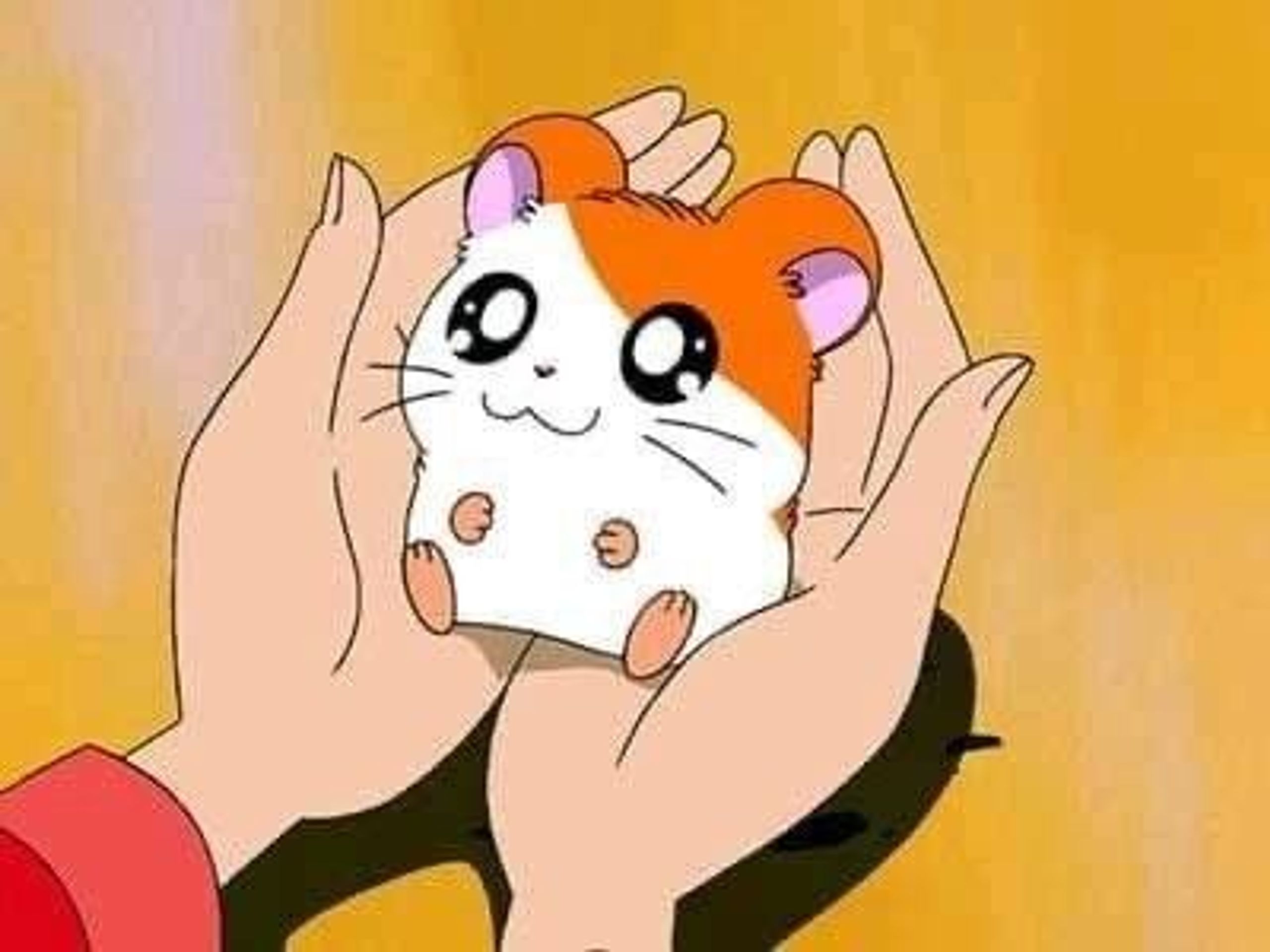 방가방가 햄토리