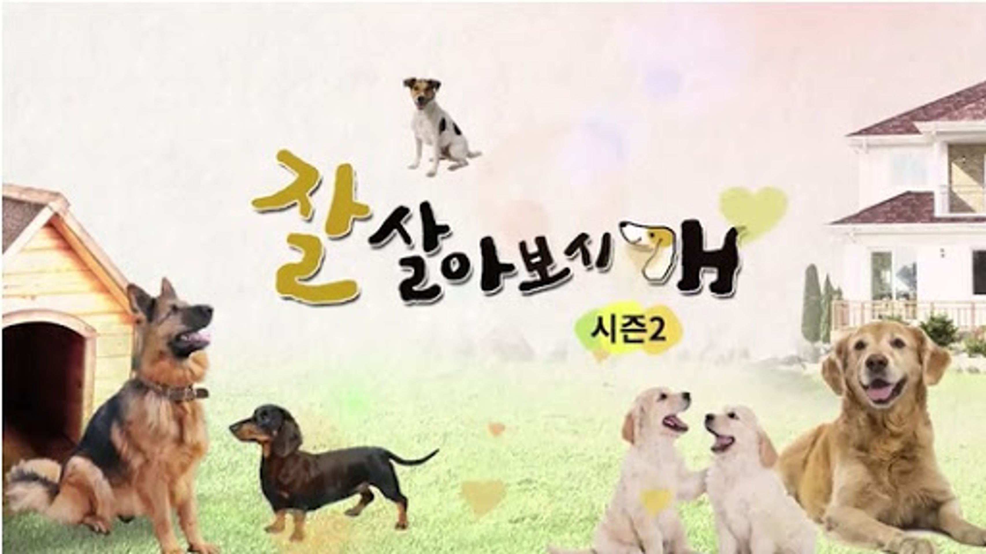 잘살아보시개 시즌 2