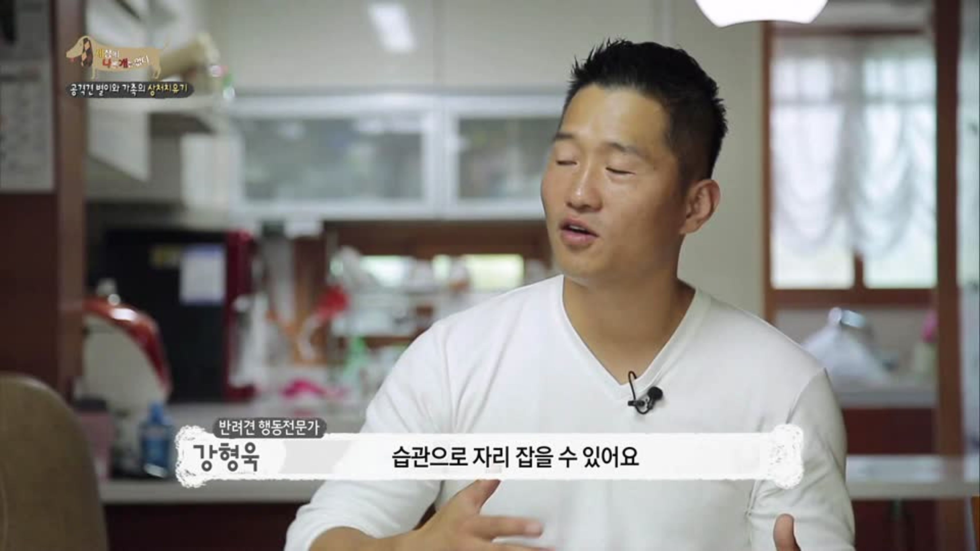 세상에 나쁜 개는 없다 시즌 2